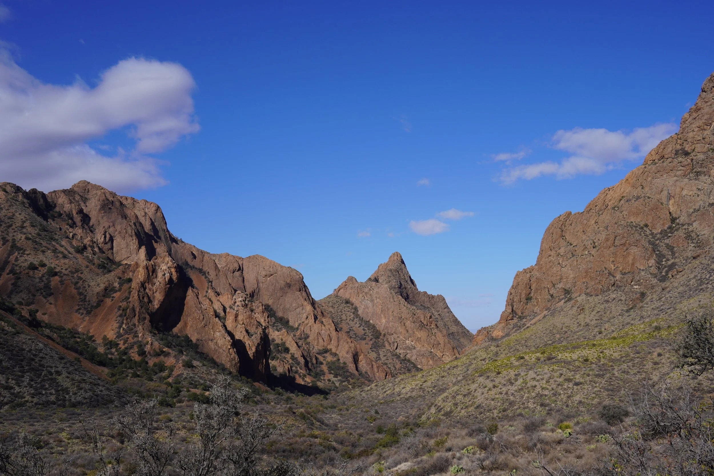 chisos basin big bend national park