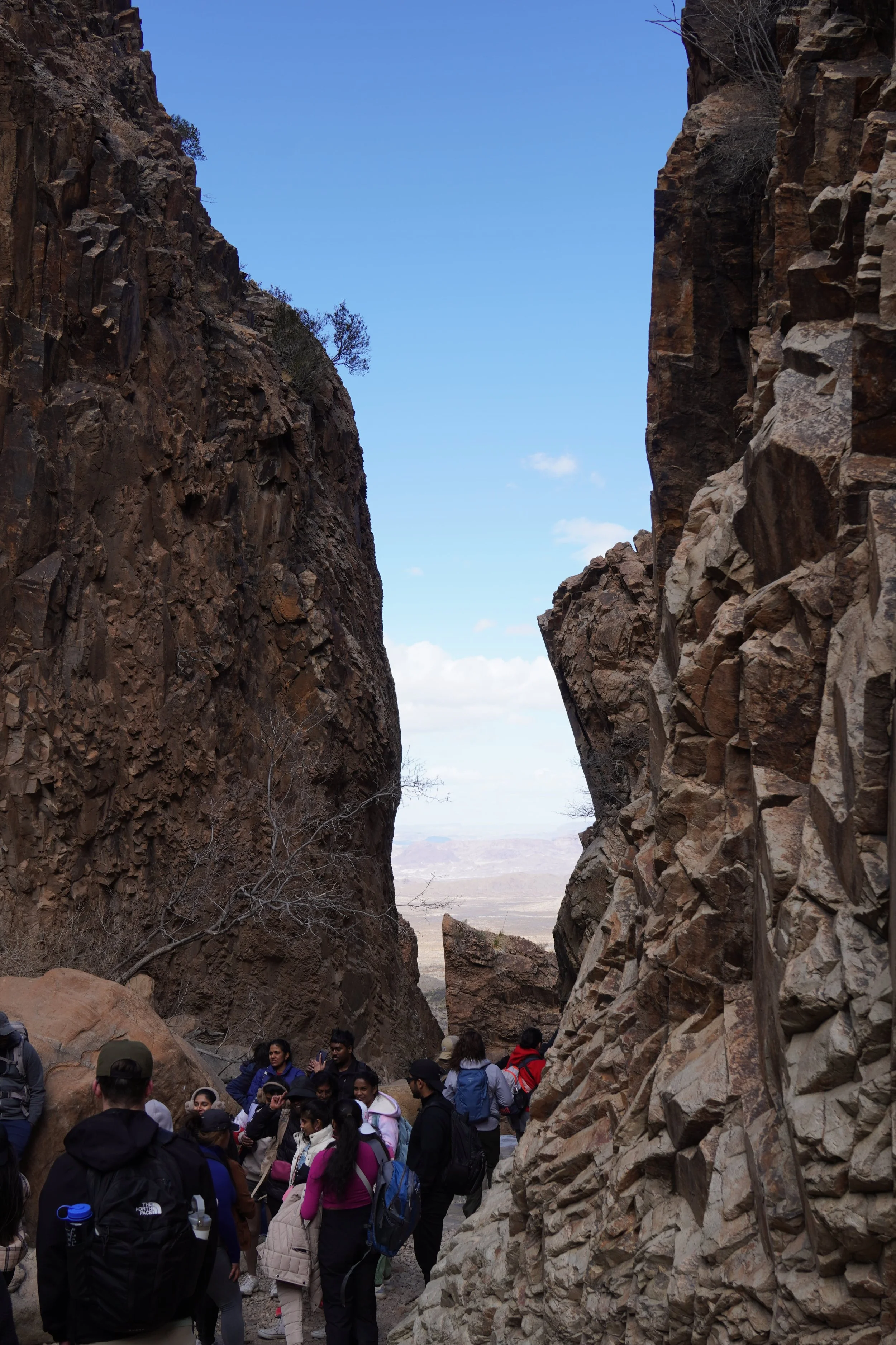 window trail_big bend national park