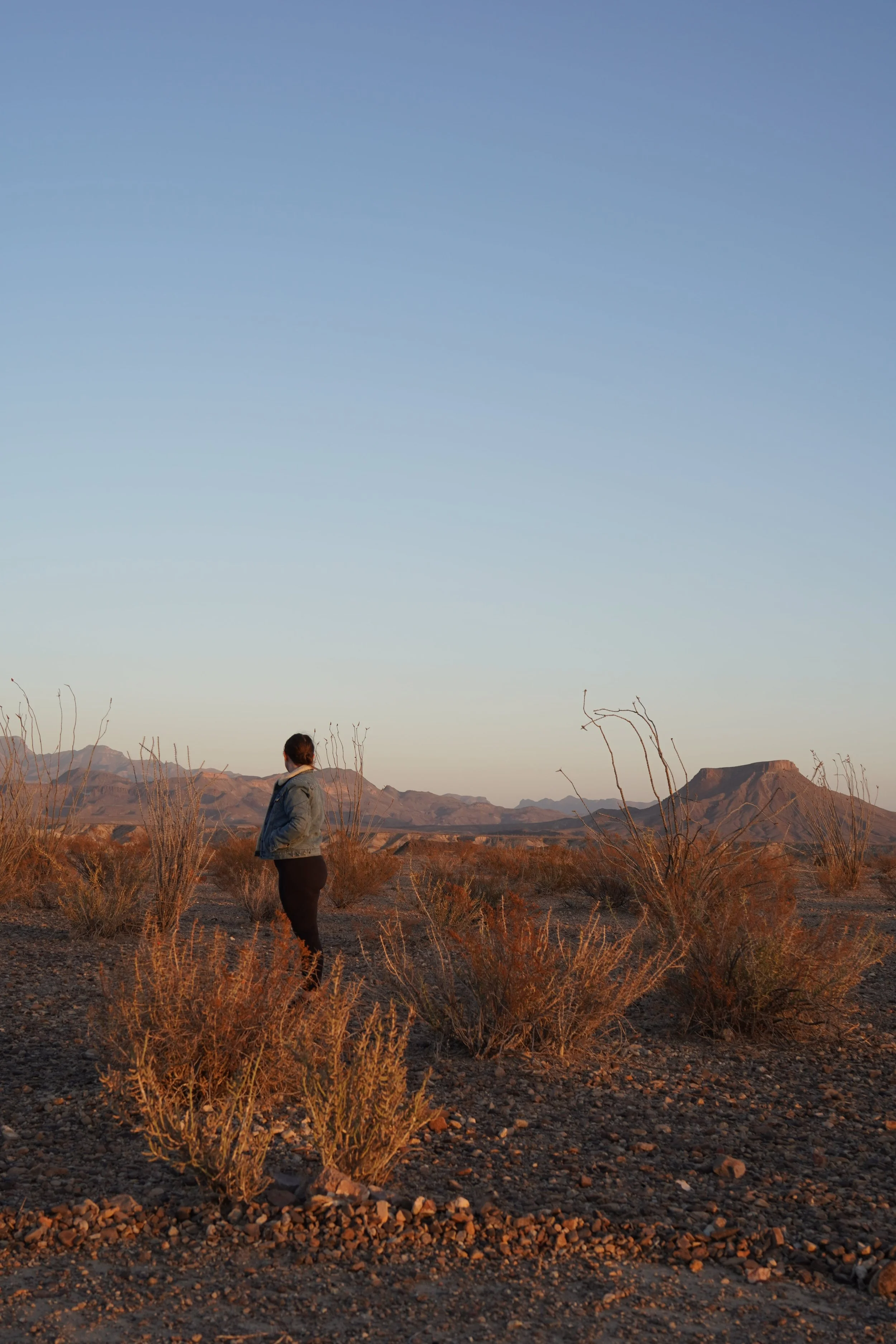 best places to stay in terlingua_big bend.jpeg