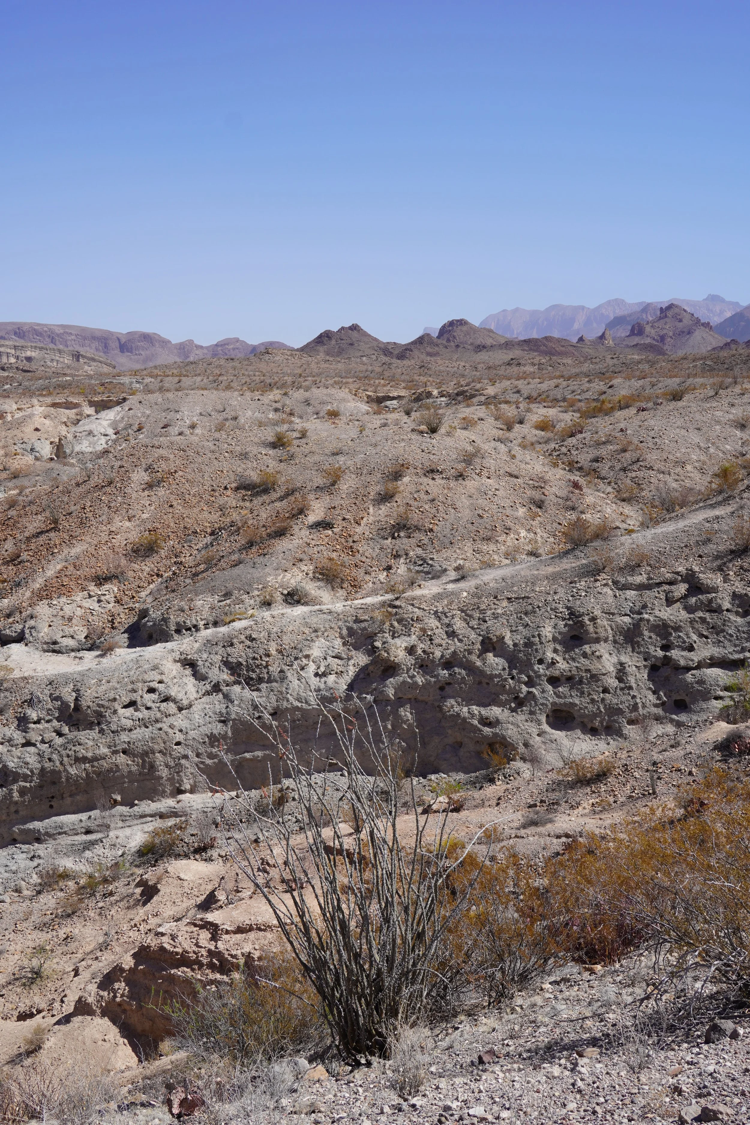views on ross maxwell scenic drive big bend national park
