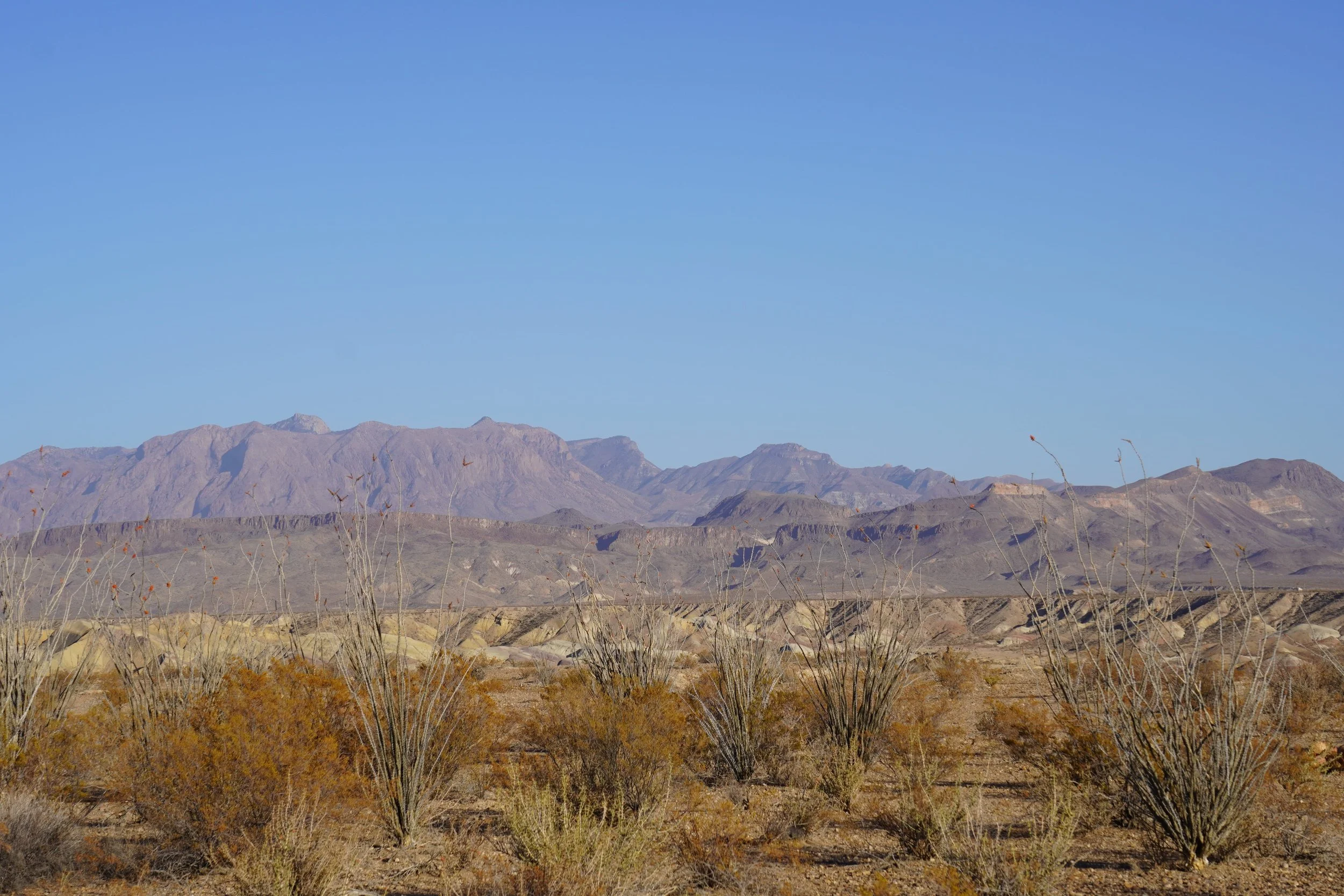 when to visit terlingua_terlingua travel guide