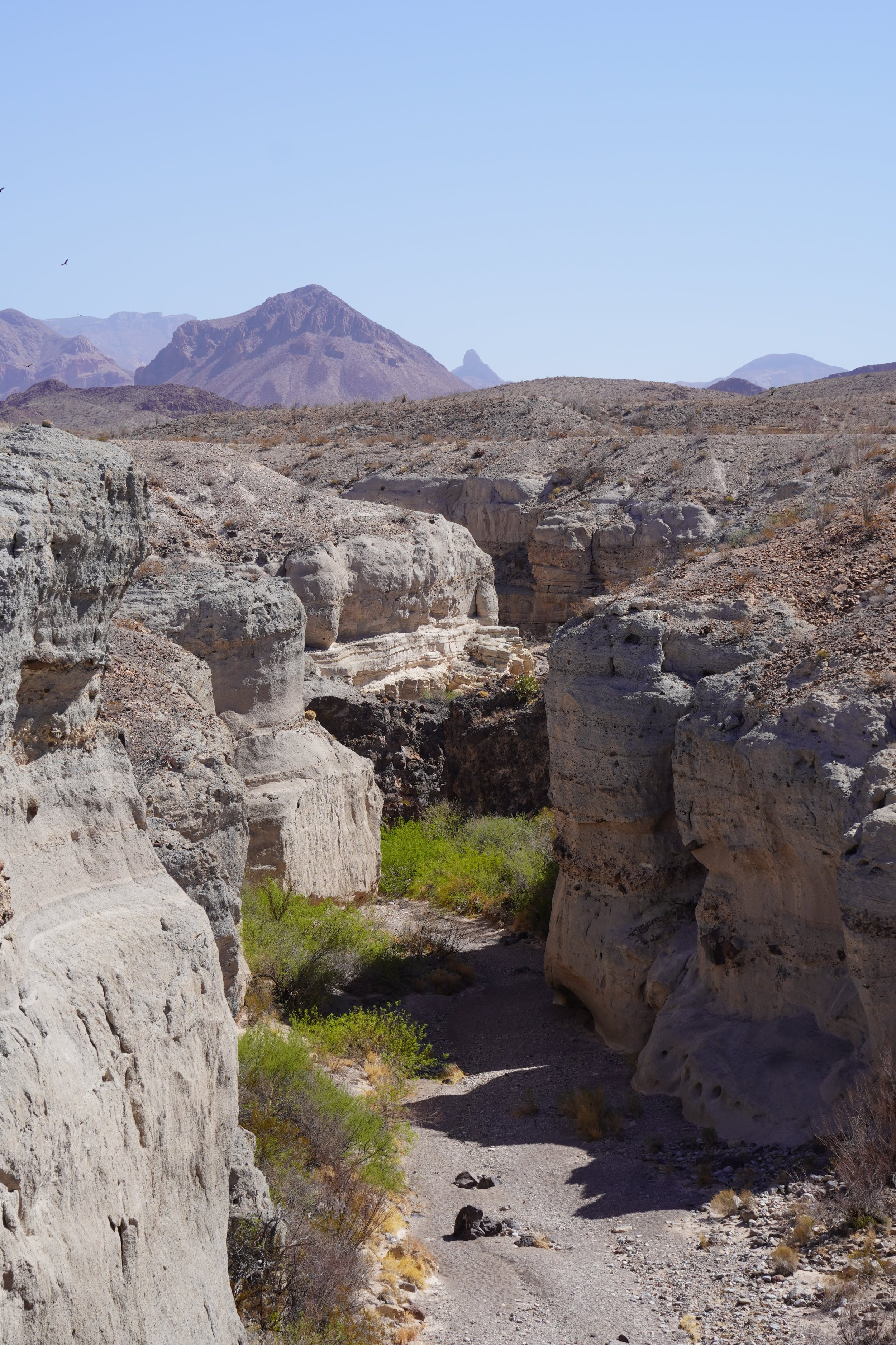 tuff canyon_big bend national park_hiking