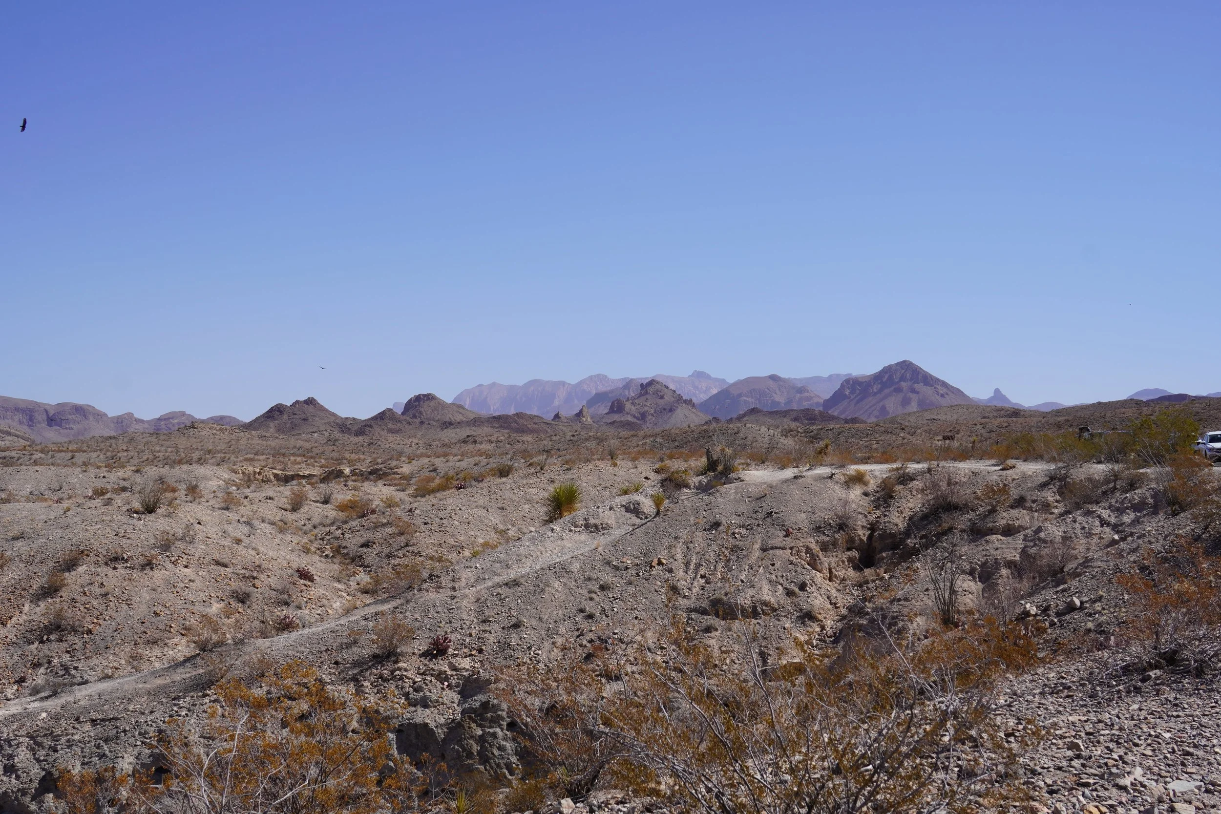 ross maxwell scenic drive viewpoints_hiking