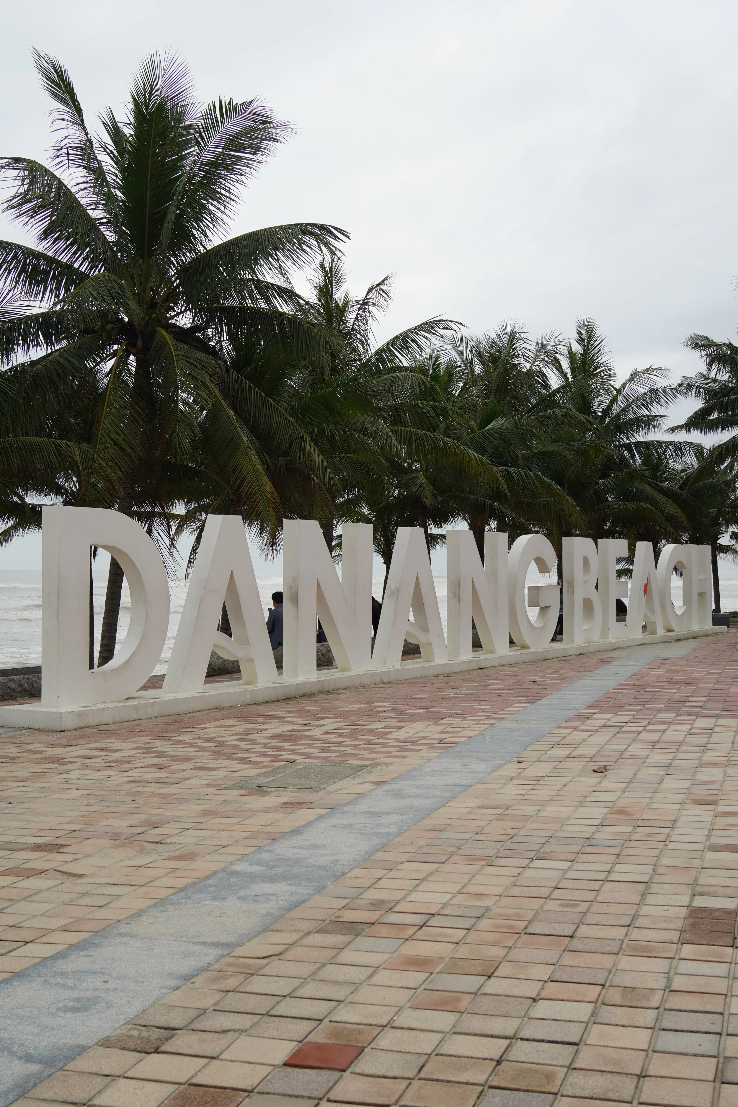 best da nang beaches.jpg