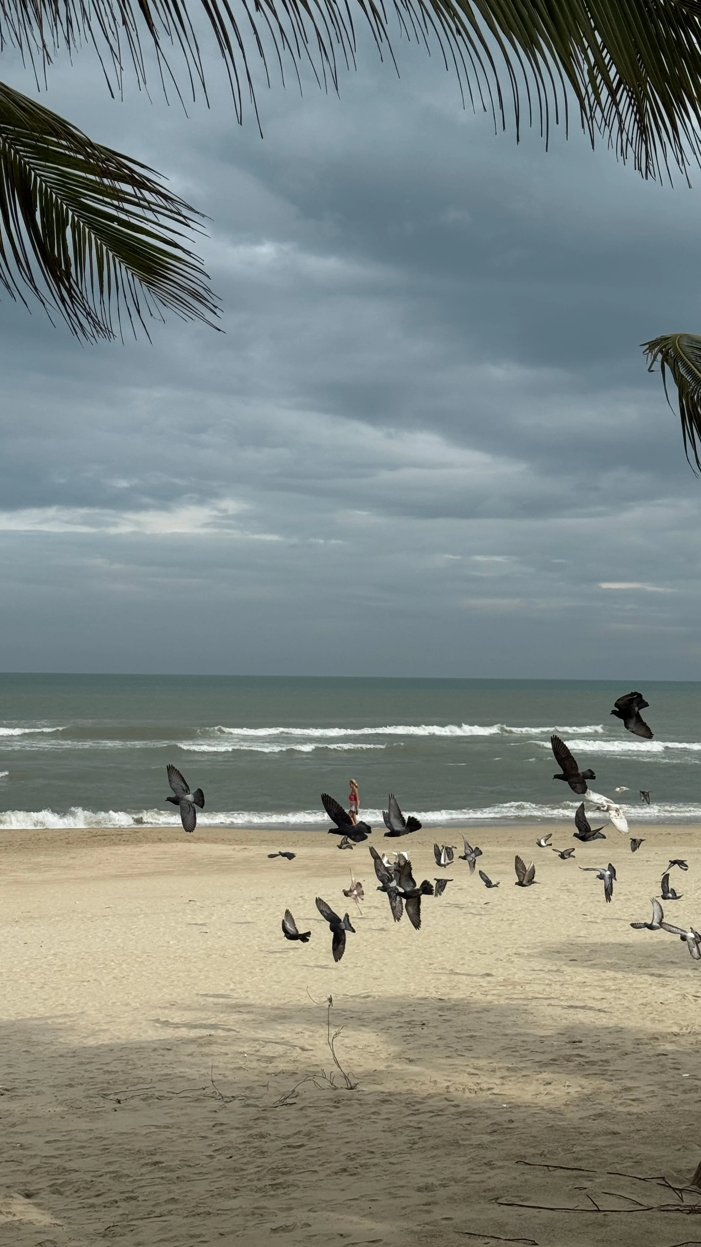 my khe beach da nang vietnam