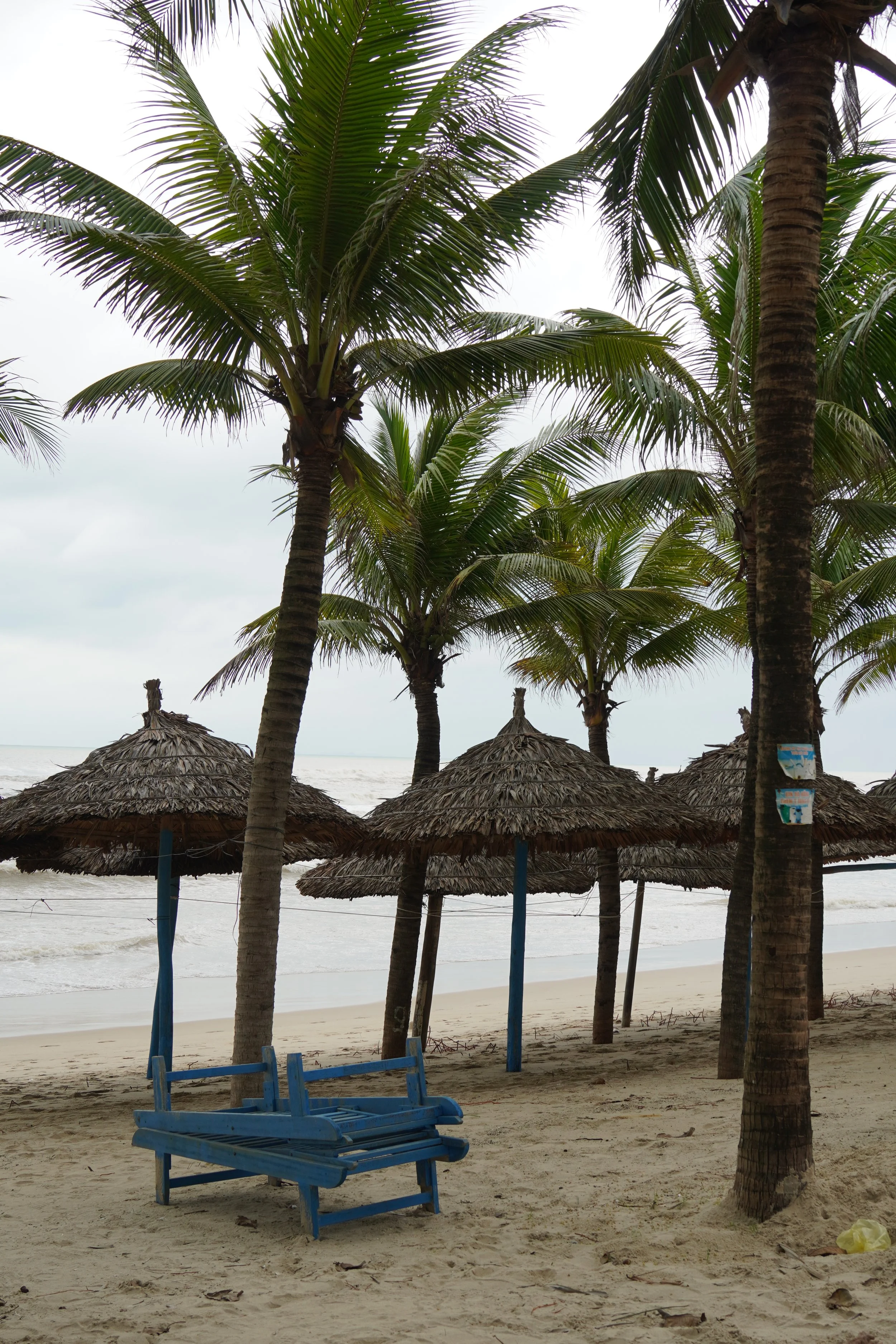 sunbeds in da nang beach_my khe beach