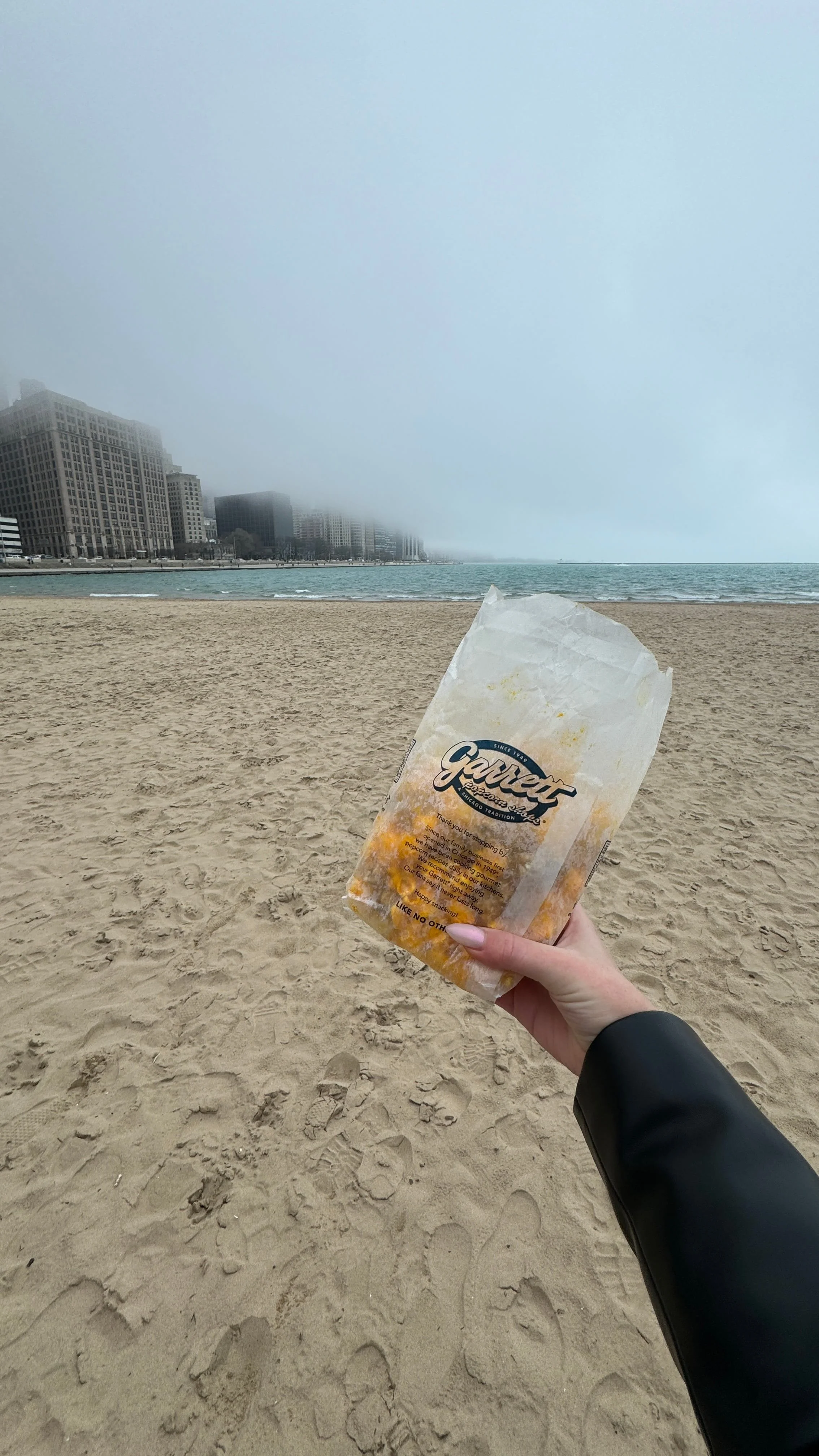 beaches in chicago_ohio street beach