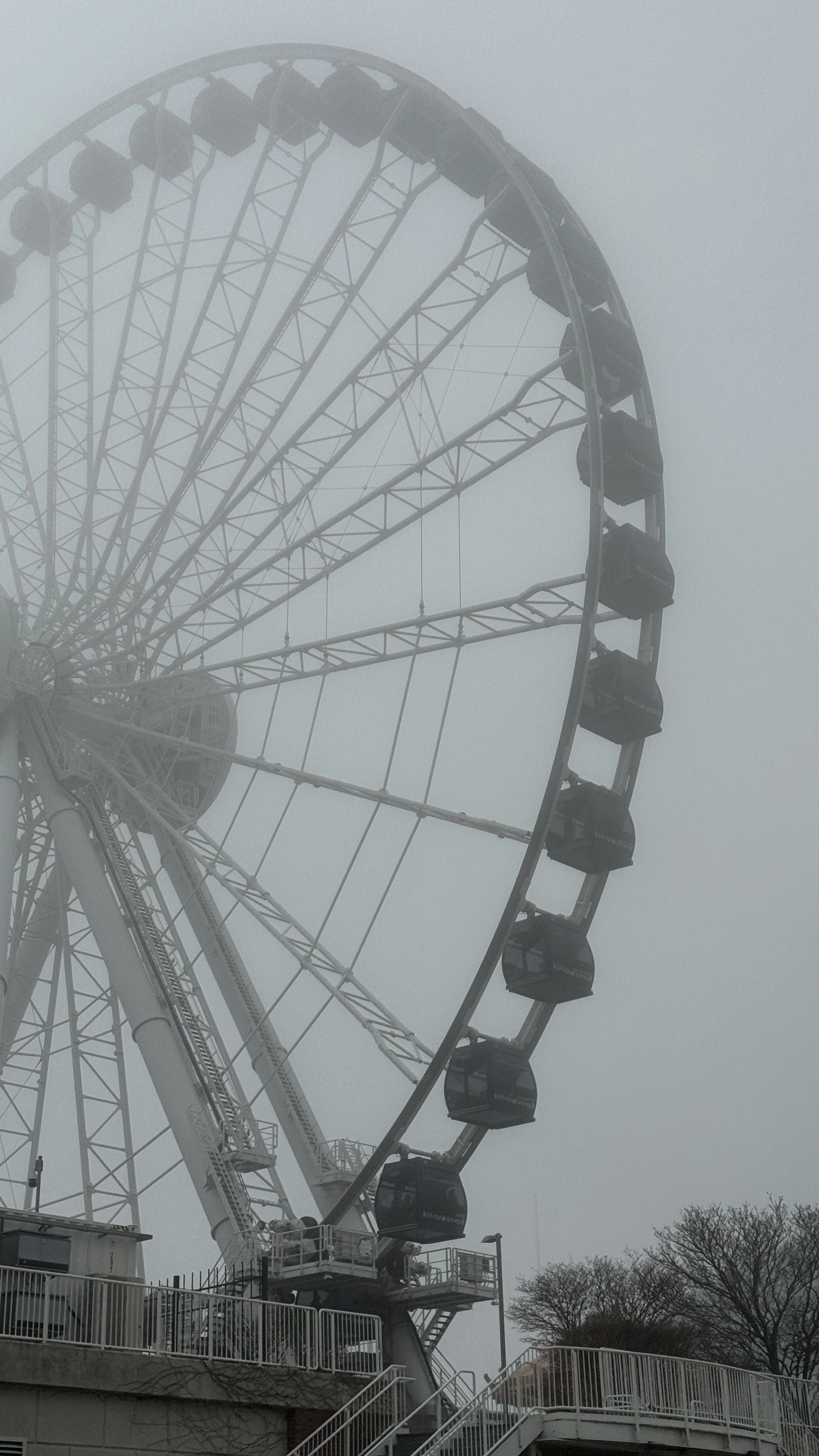 IMG_0082.jpeg