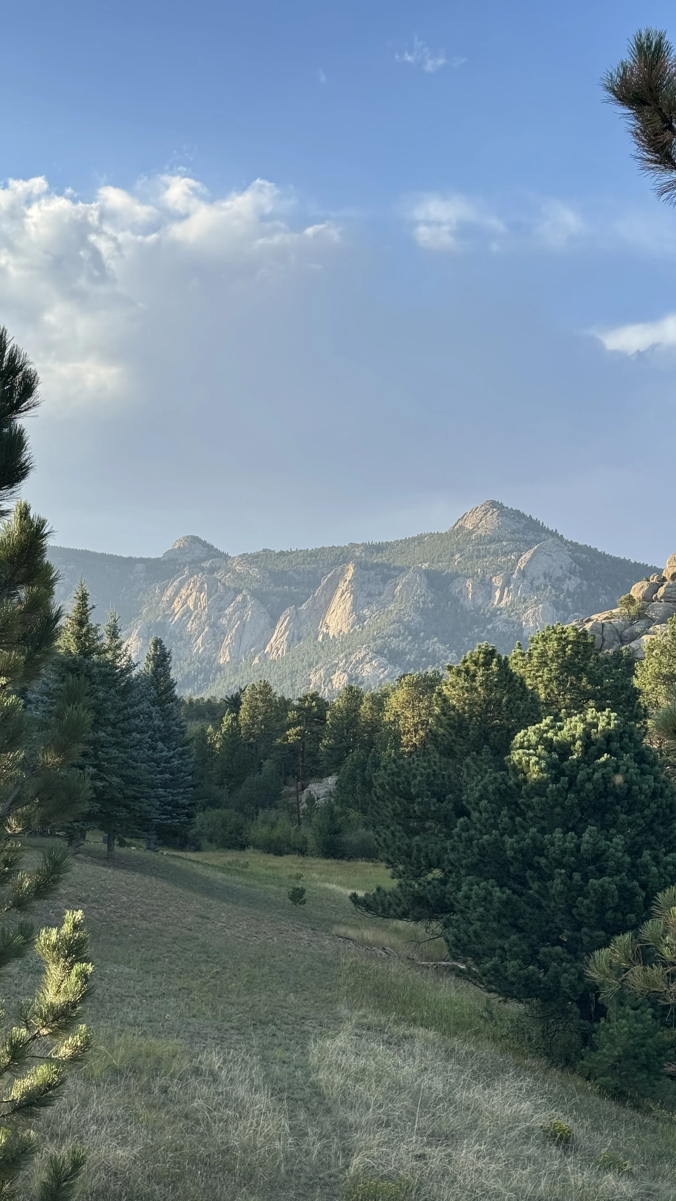 views in estes park
