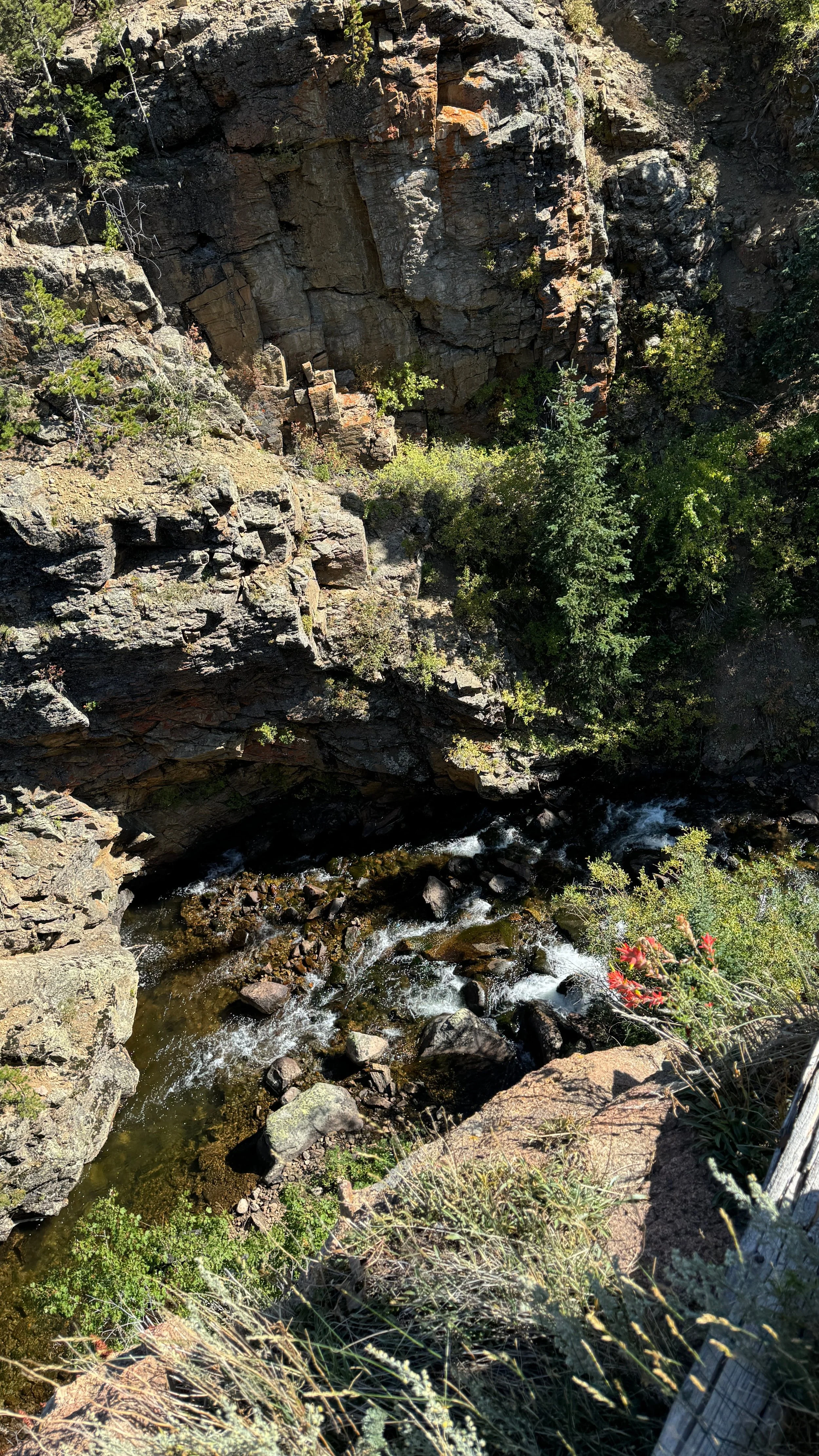 prospect canyon rocky mountain national park