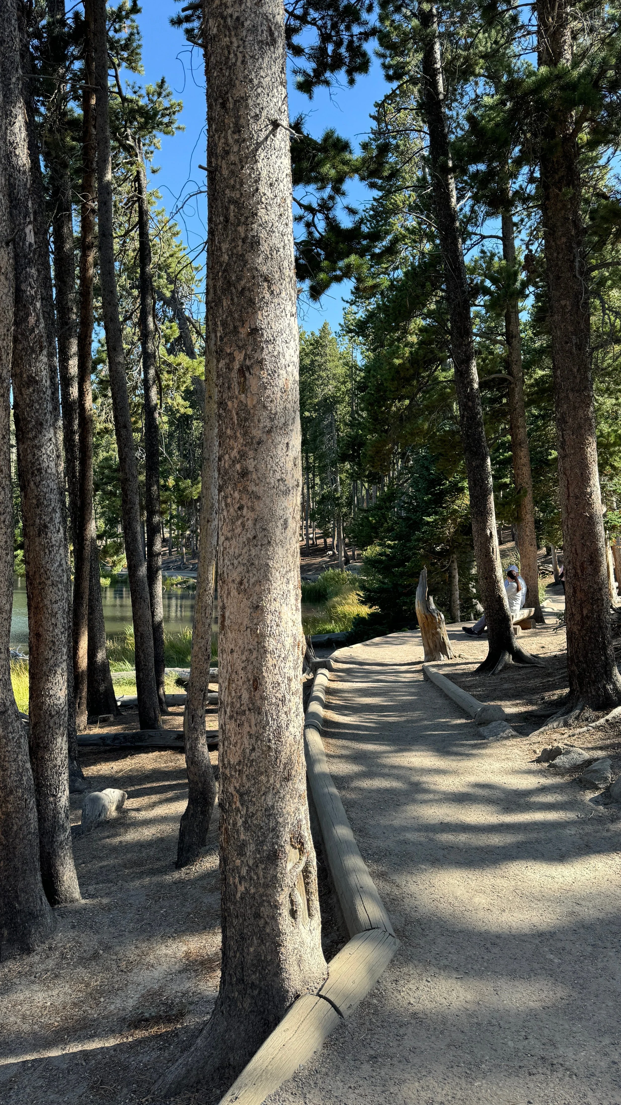 easy hikes at rocky mountain national park
