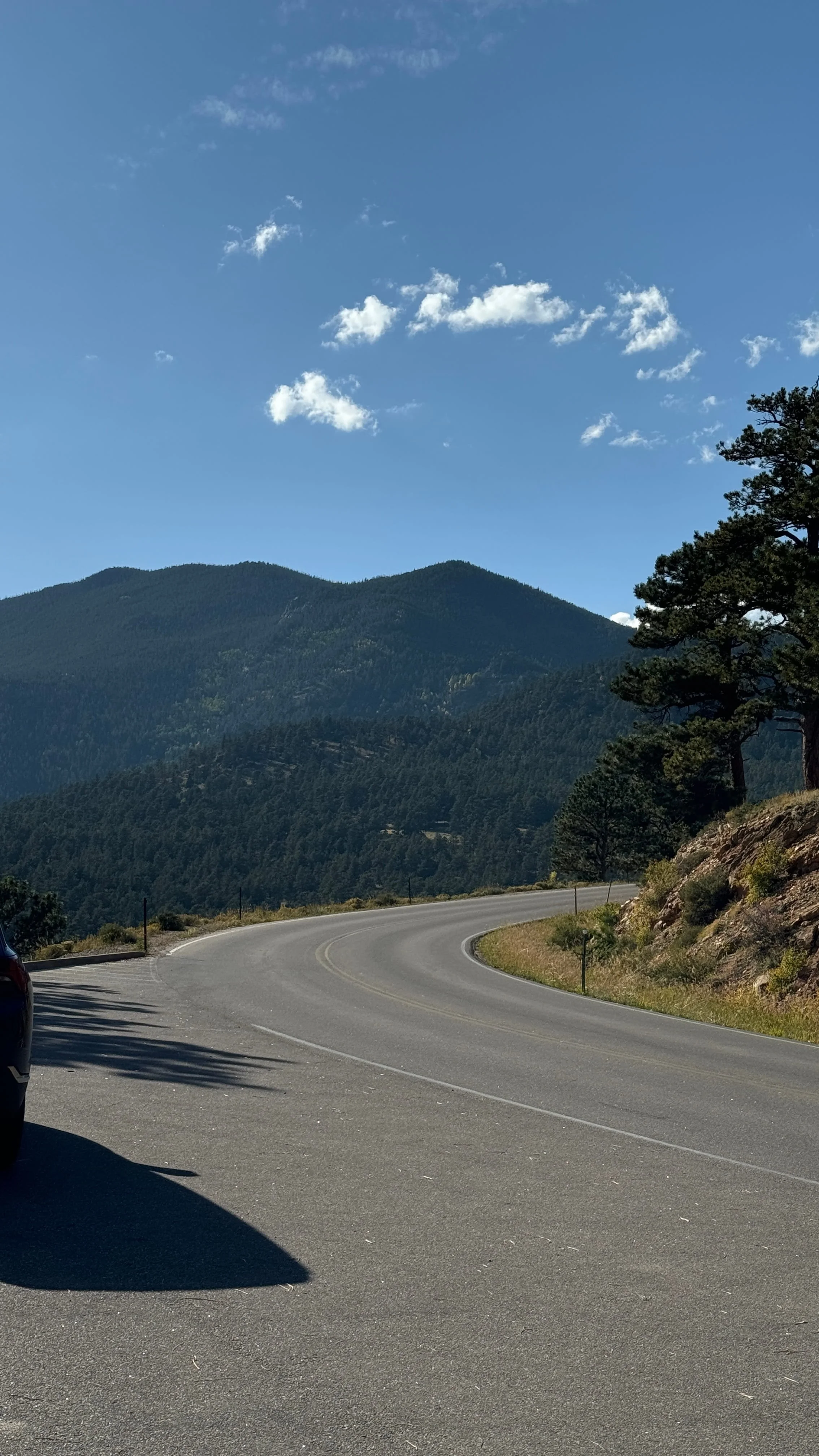 Drive the Bear Lake Road Corridor.jpg