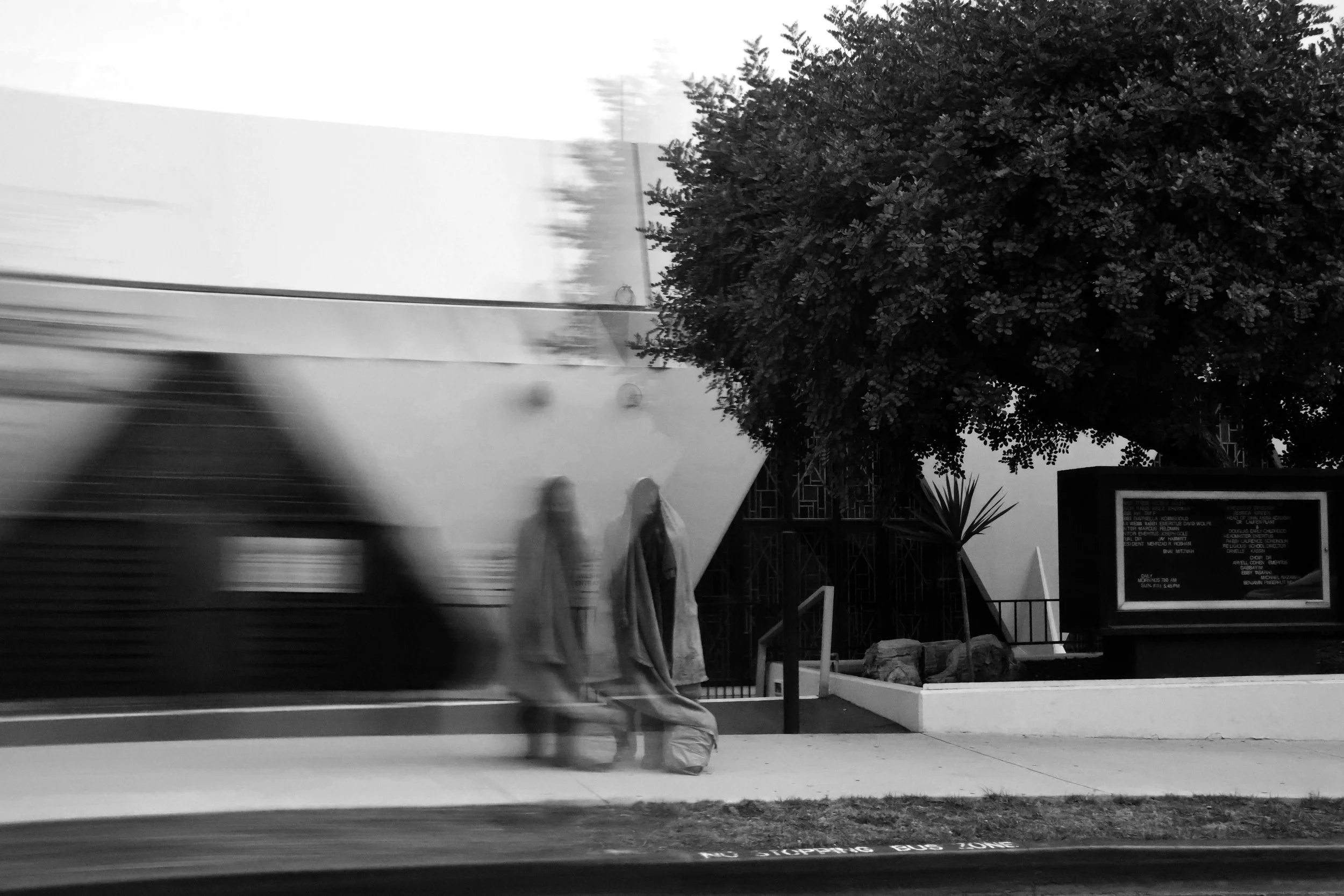 IMG_3760.jpg