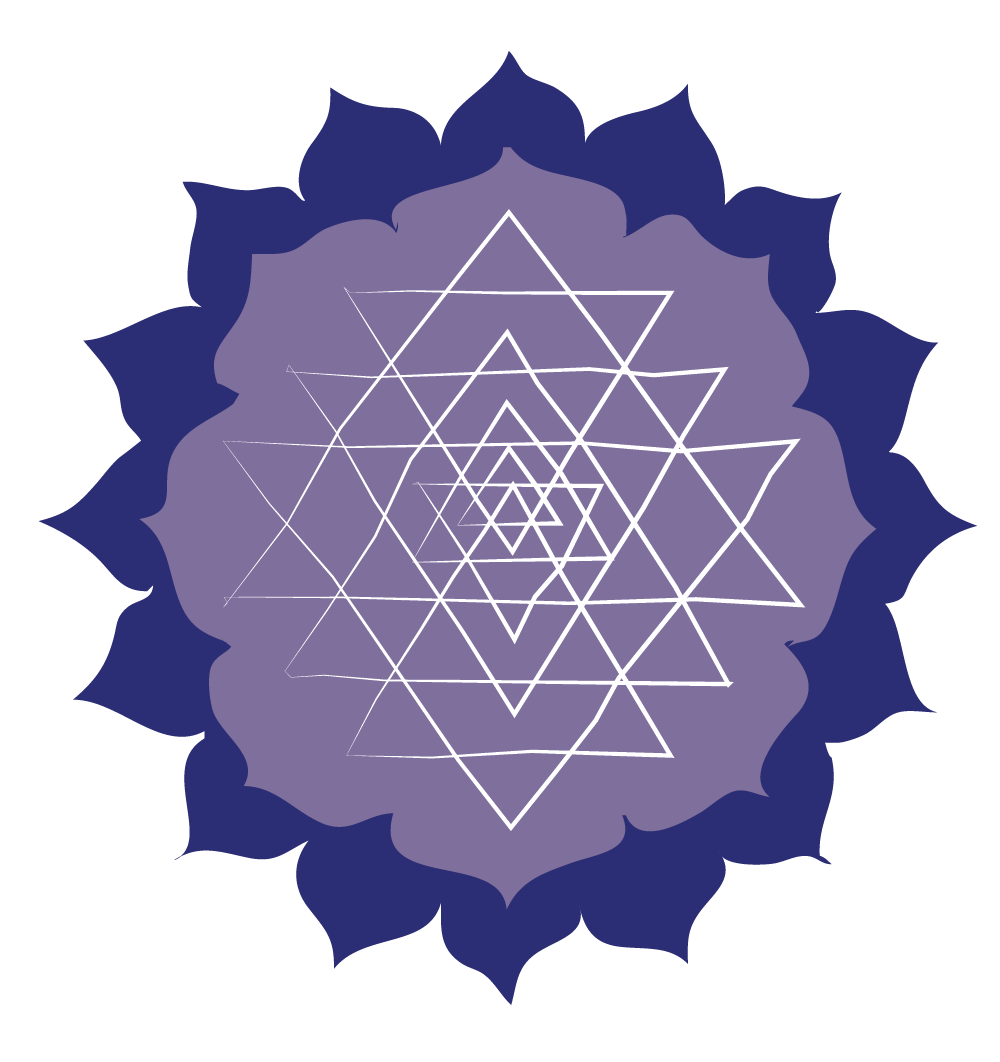 Align with Aliza