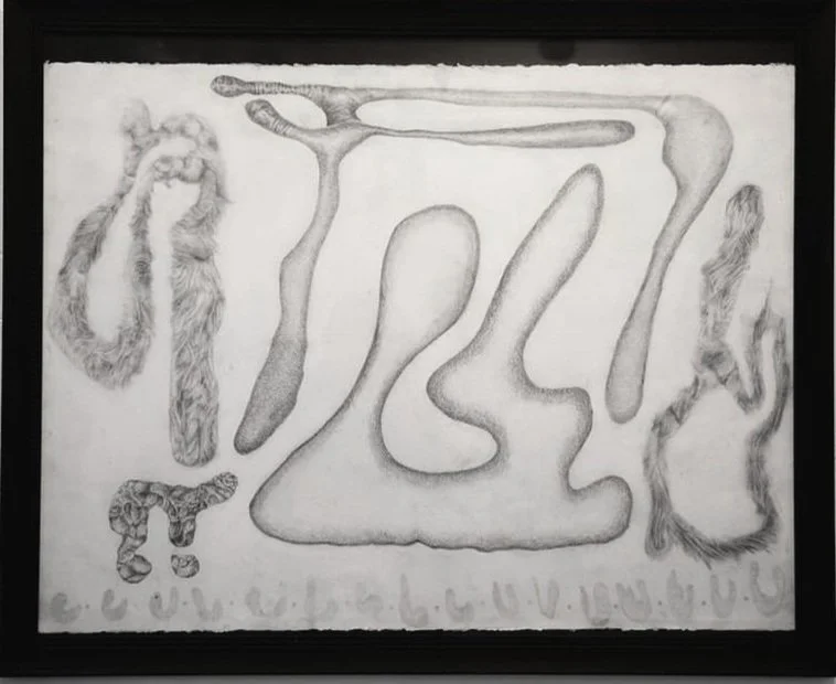  Charcoal and graphite on paper 2022 Presented at the Burnt Oak Gallery 06.2022 