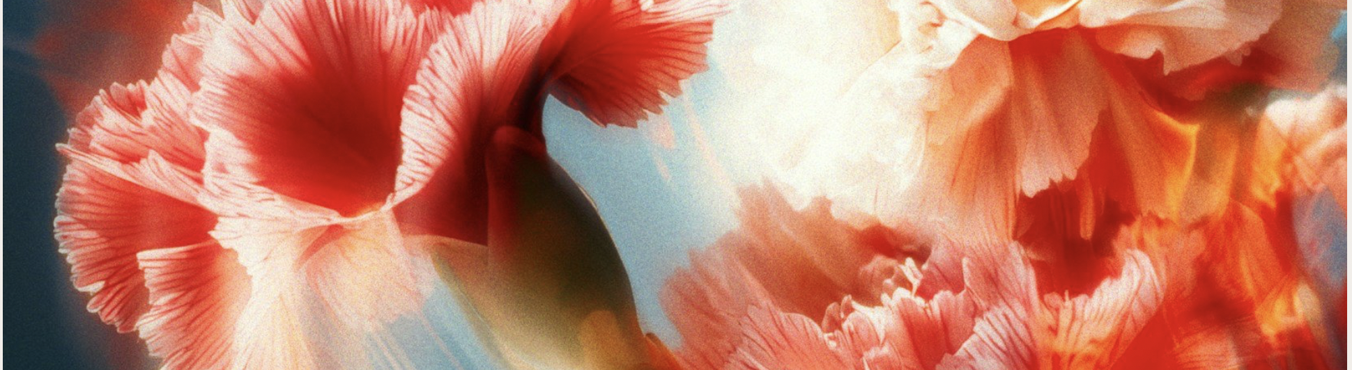 Reflections on the Feminine Christ Energy