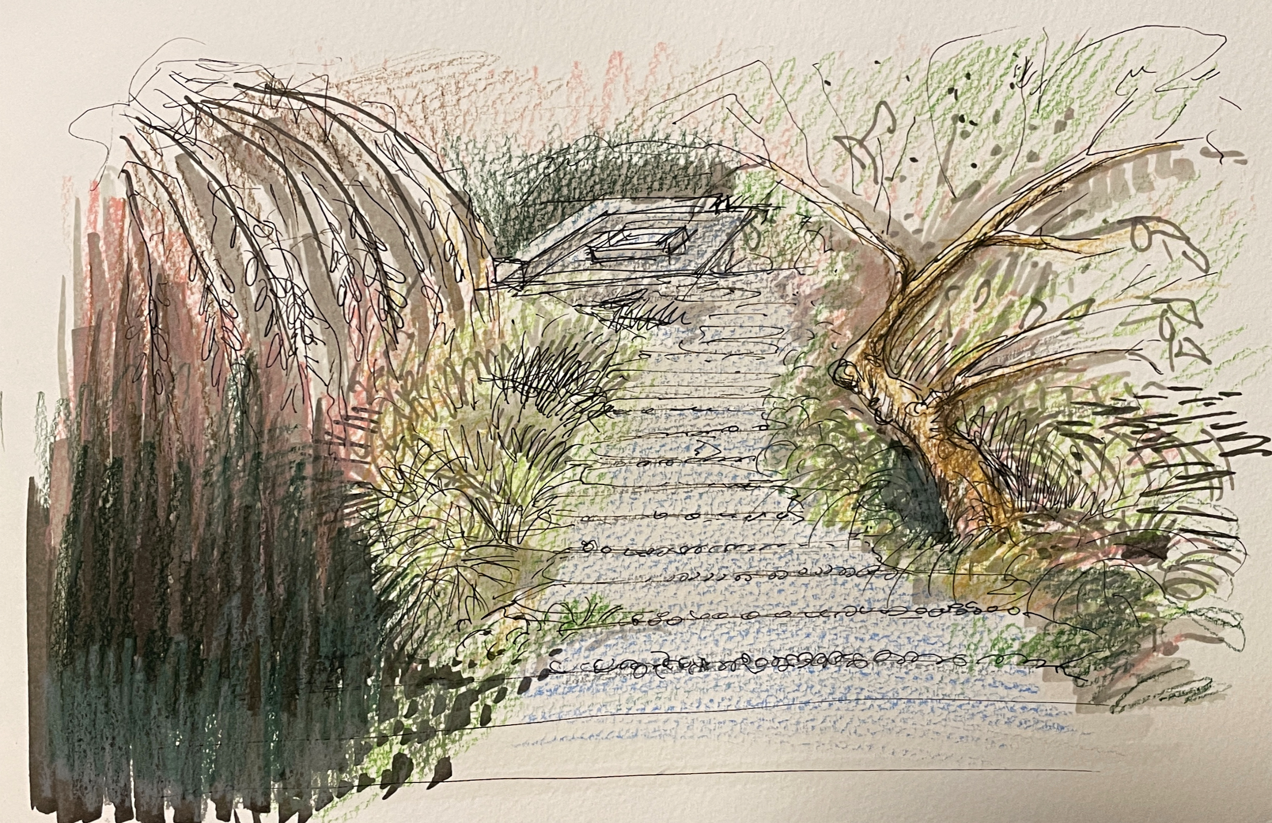 LandscapeSketch2.png