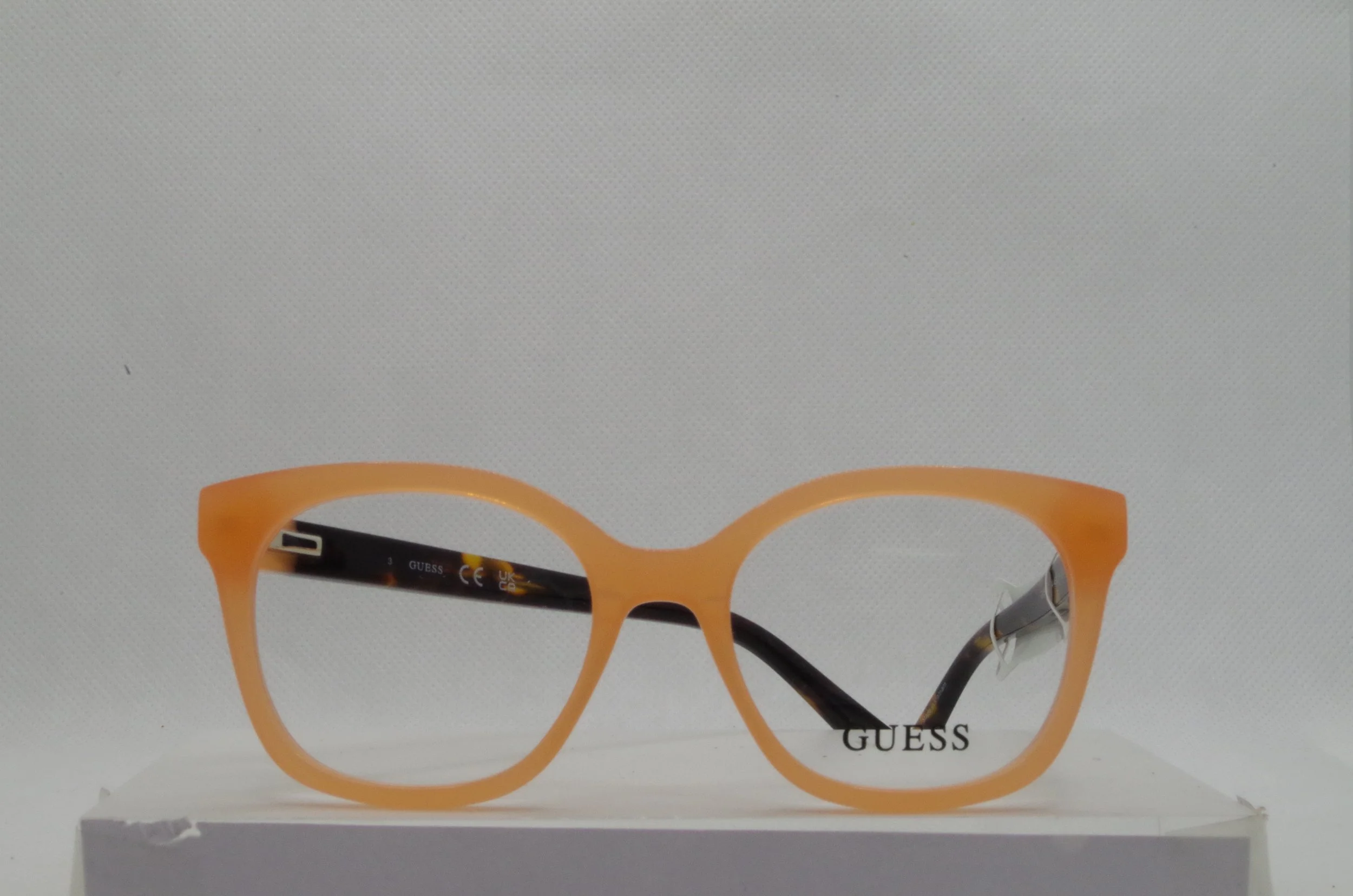 IMGP4710.JPG