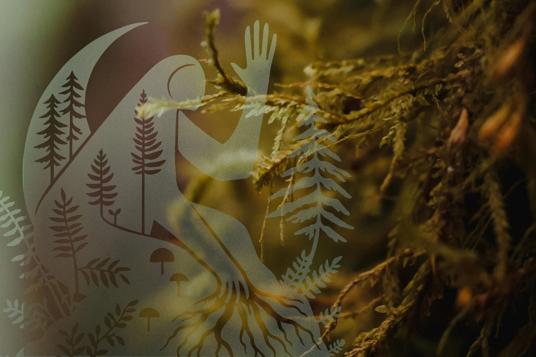 Be the Ground — disaster resilience and sexy life-skills program