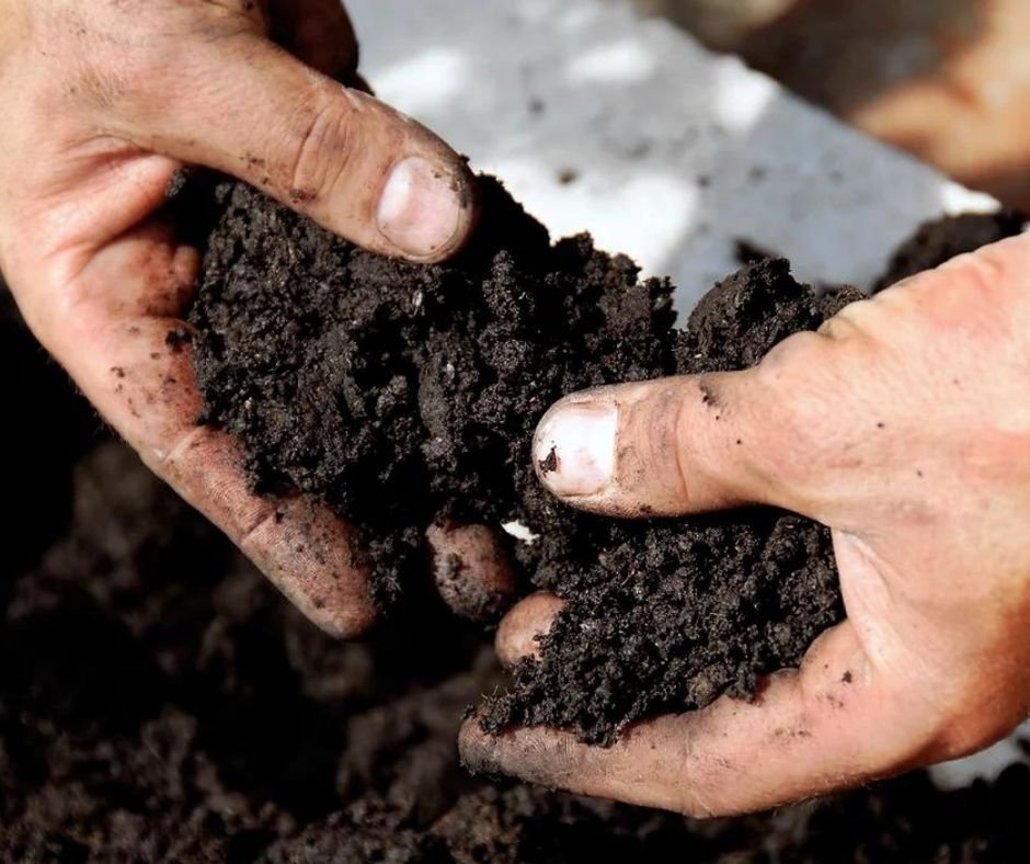 Blog: Leading sustainability initiatives in business events