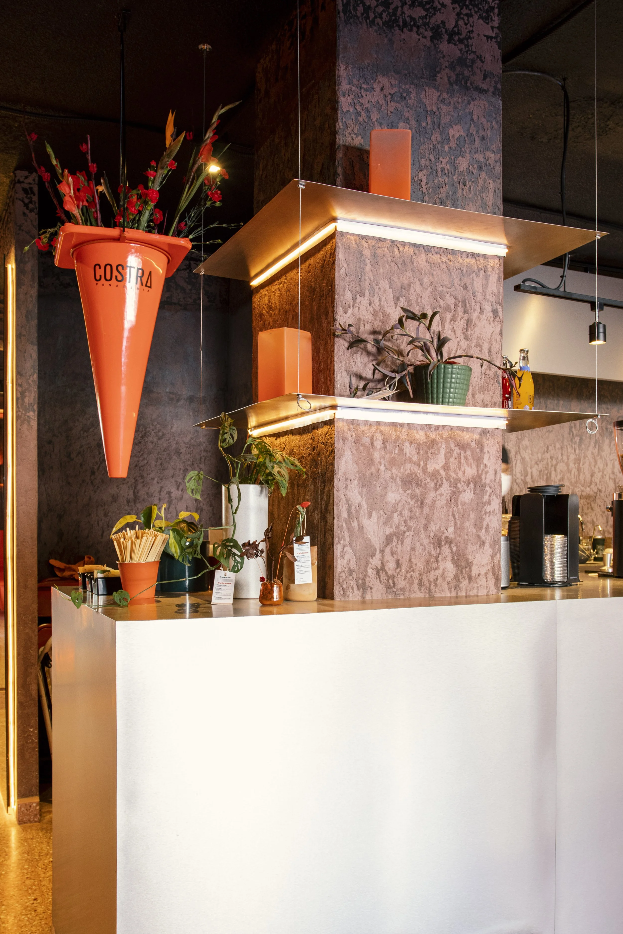 10 Costra-CAMPO(Erik López).jpg