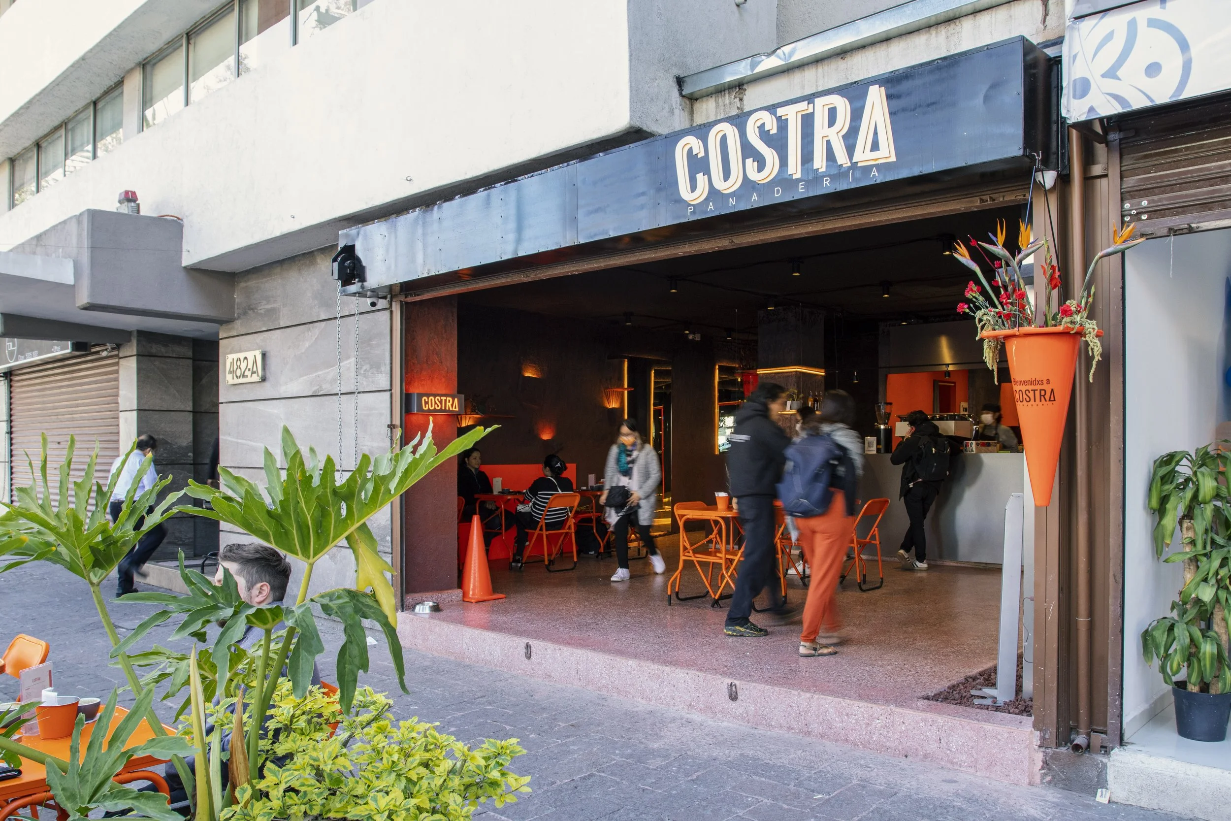 01 Costra-CAMPO(Erik López).jpg