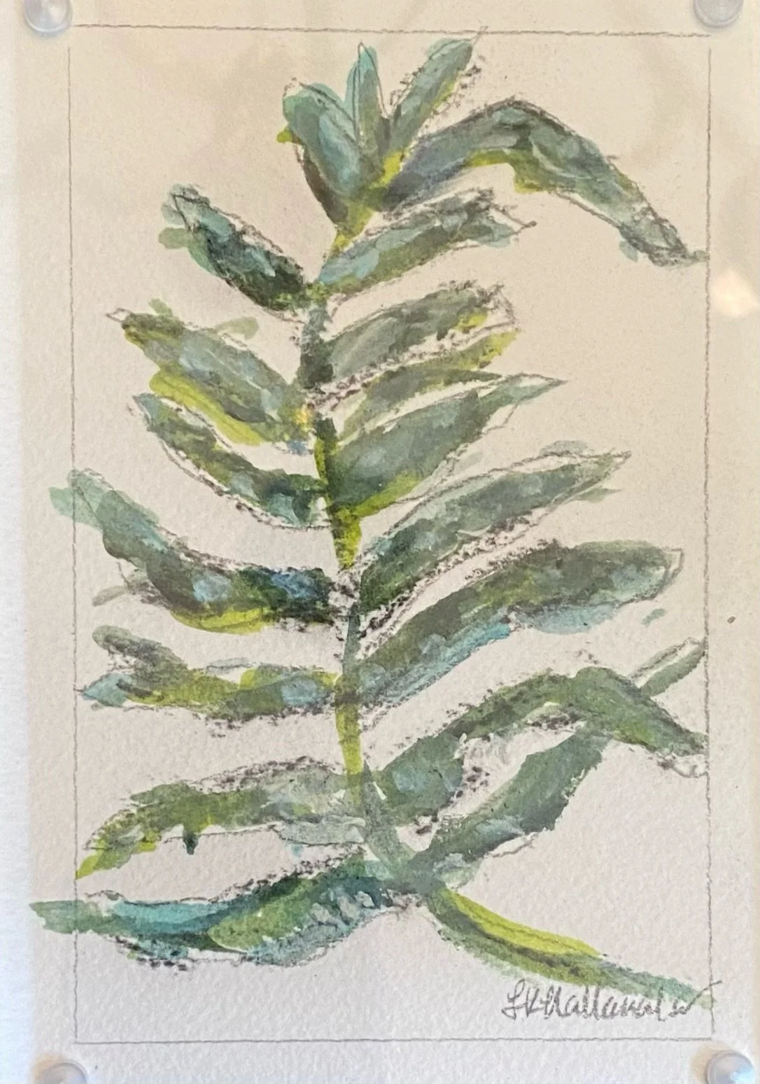"Fern" 4x6 acrylic on paper in acrylic frame / Purchased