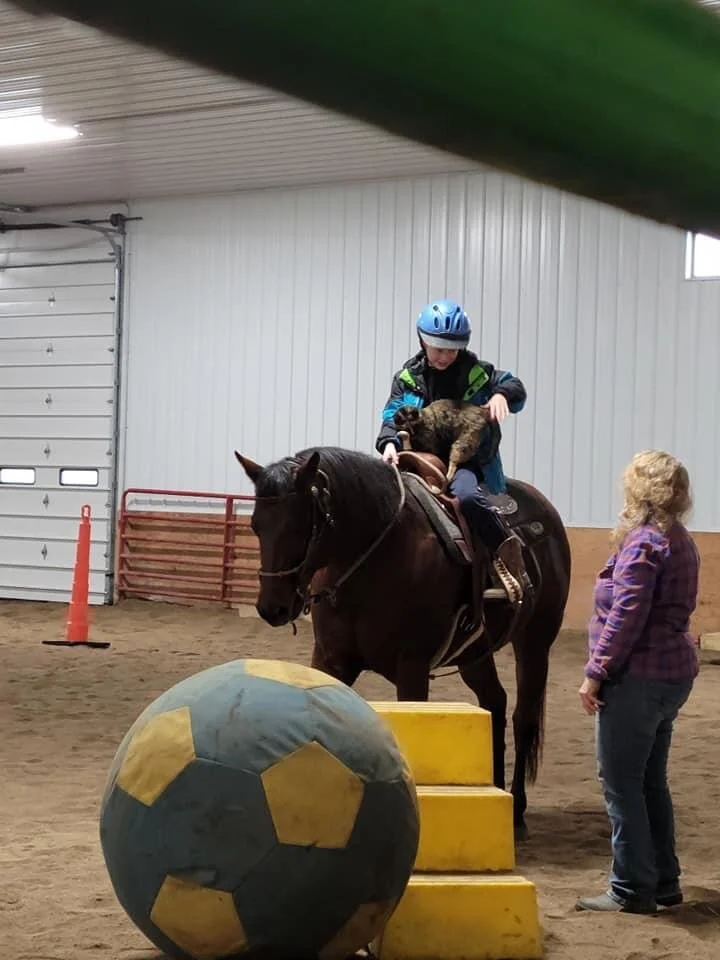 Drake with Jazz the cat and May