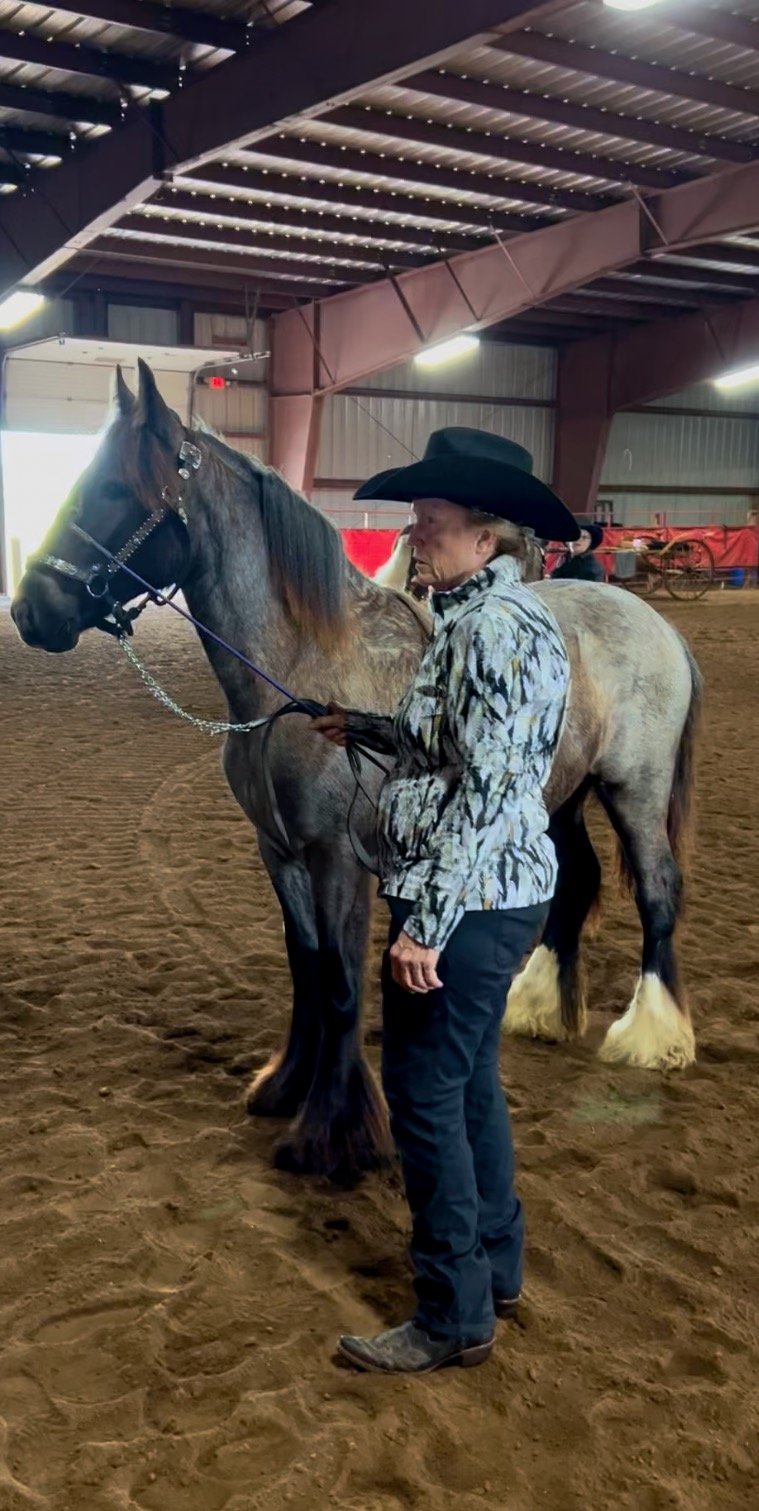 New exposures at the Minnesota Pony and Cob Classic Horse show, we believe to present new challenges as part of the training, her first trip off the farm.