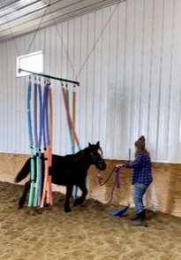 Echo is not bothered with obstacles