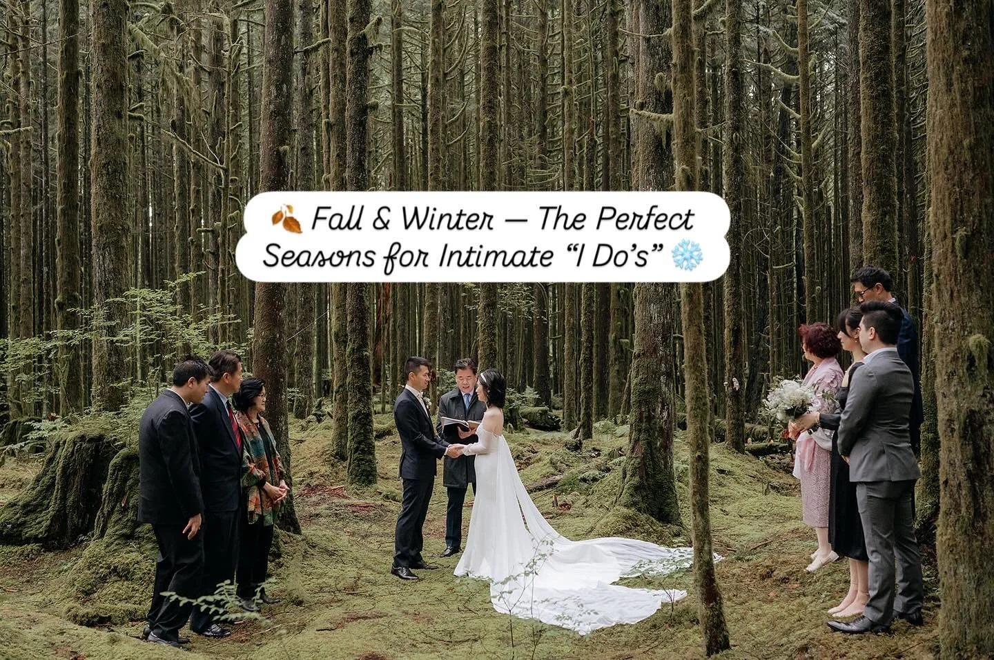 🍂 Fall &amp; Winter &mdash; The Perfect Seasons for Intimate &ldquo;I Do&rsquo;s&rdquo; ❄️

Just You Two (and a Few). Just Right. 💍

Whether it&rsquo;s a quiet moment in your backyard, a hidden forest, or a cozy hotel suite, The Intimate Experience