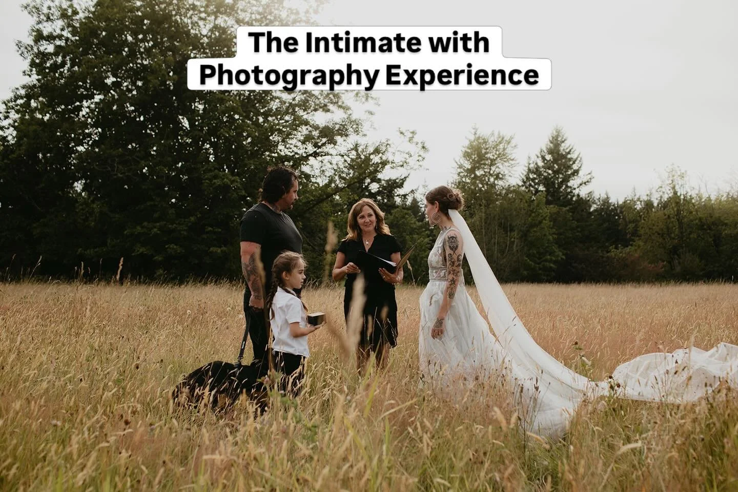 ✨ Where love feels like home&hellip; ✨

S &amp; B chose something beautifully simple&hellip; a heartfelt ceremony in a quiet field, surrounded by what mattered most&hellip; their son, their dog, and each other 🤍

No big production. No distractions. 