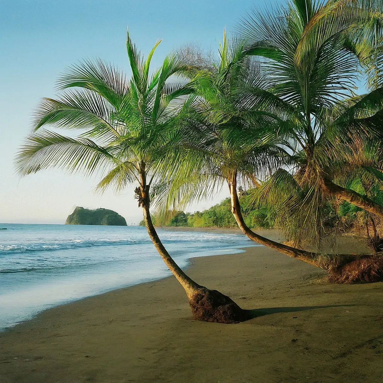 Best option to immigrate to Costa Rica