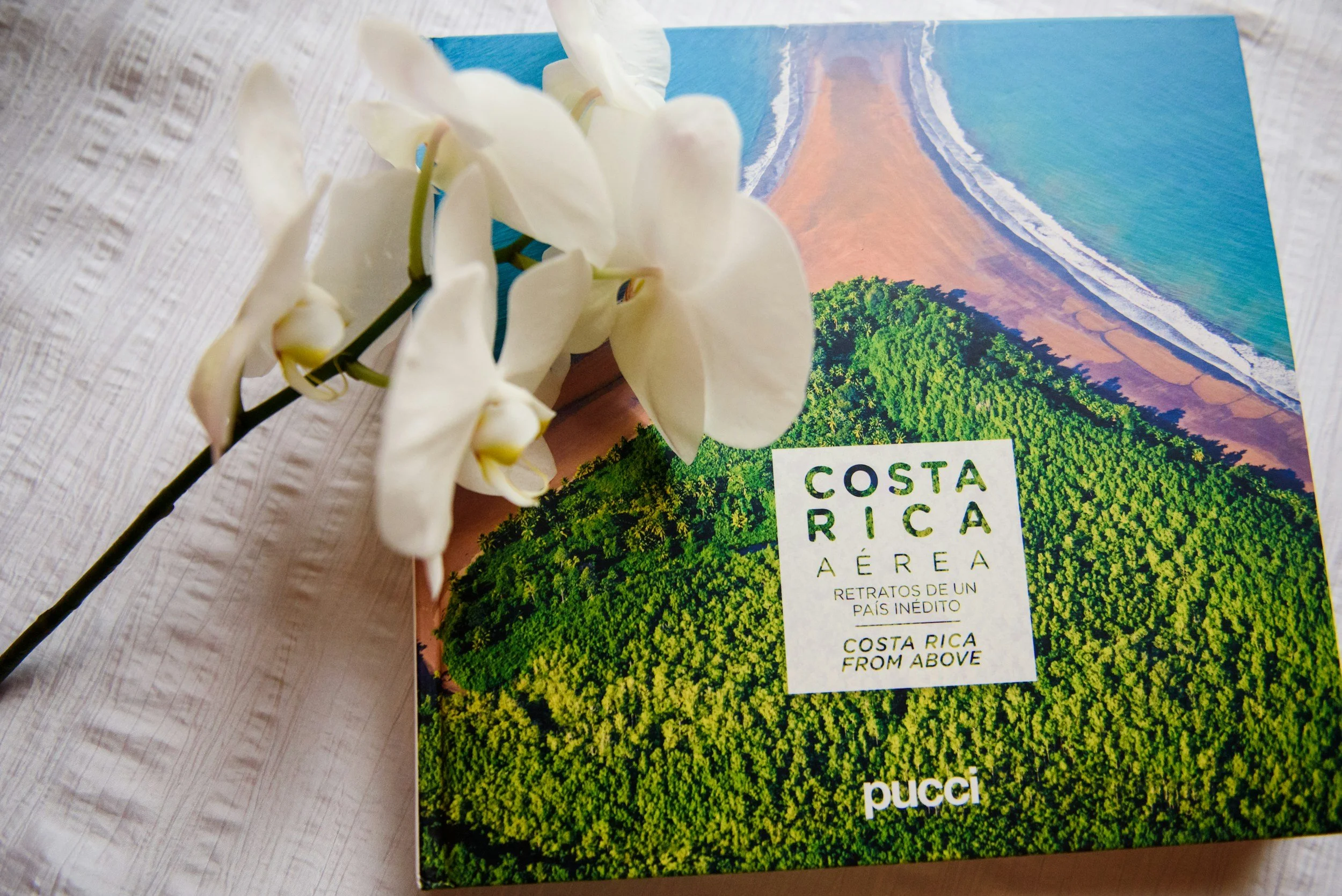 Relocating to Costa Rica: A Legal and Lifestyle Guide by Simple Legal Consulting - Costa Rica Immigration Lawyers