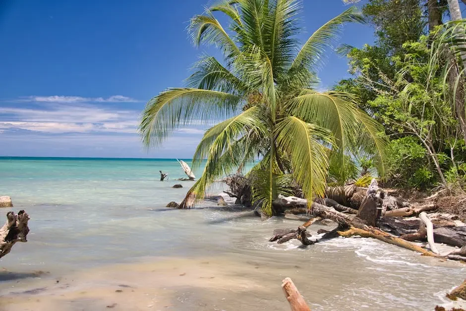 What Are the Requirements for Rentista Residency in Costa Rica?