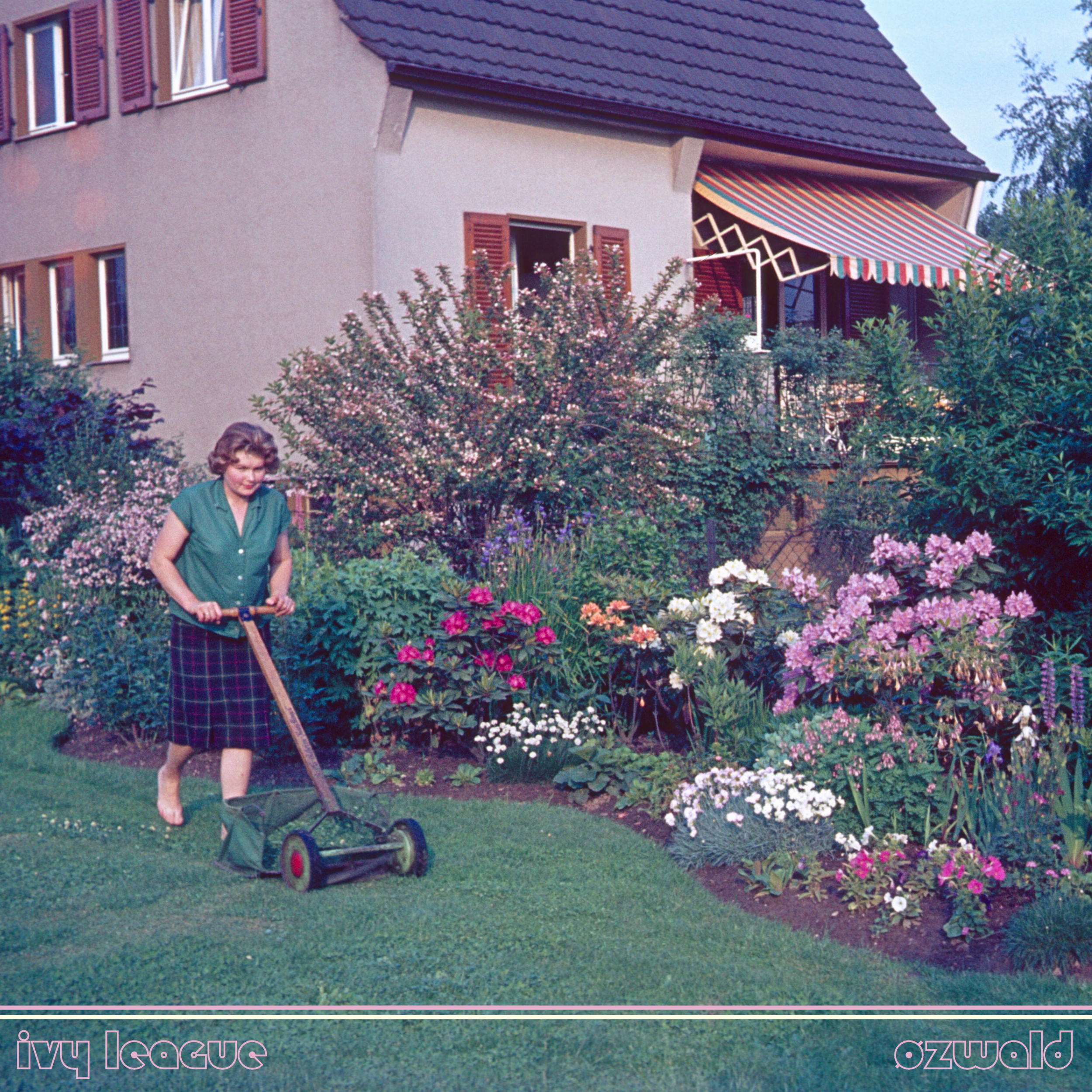 Premiere: ØZWALD Takes You To A Special Place With New Track "ivy league"