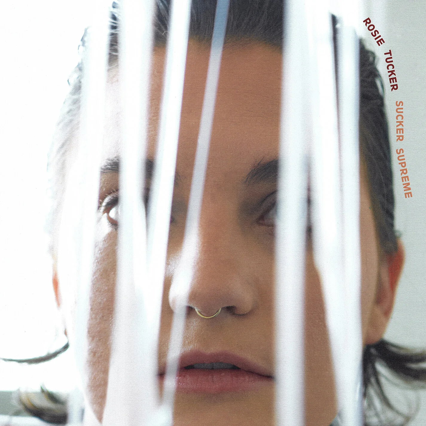 Q&amp;A: Rosie Tucker Welcomes A New, Reflective Era With 'Supreme Sucker' 