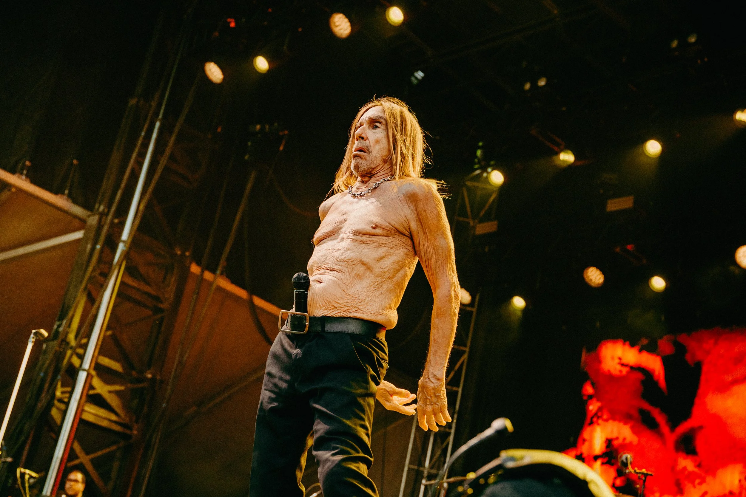 Iggy Pop 1.jpeg