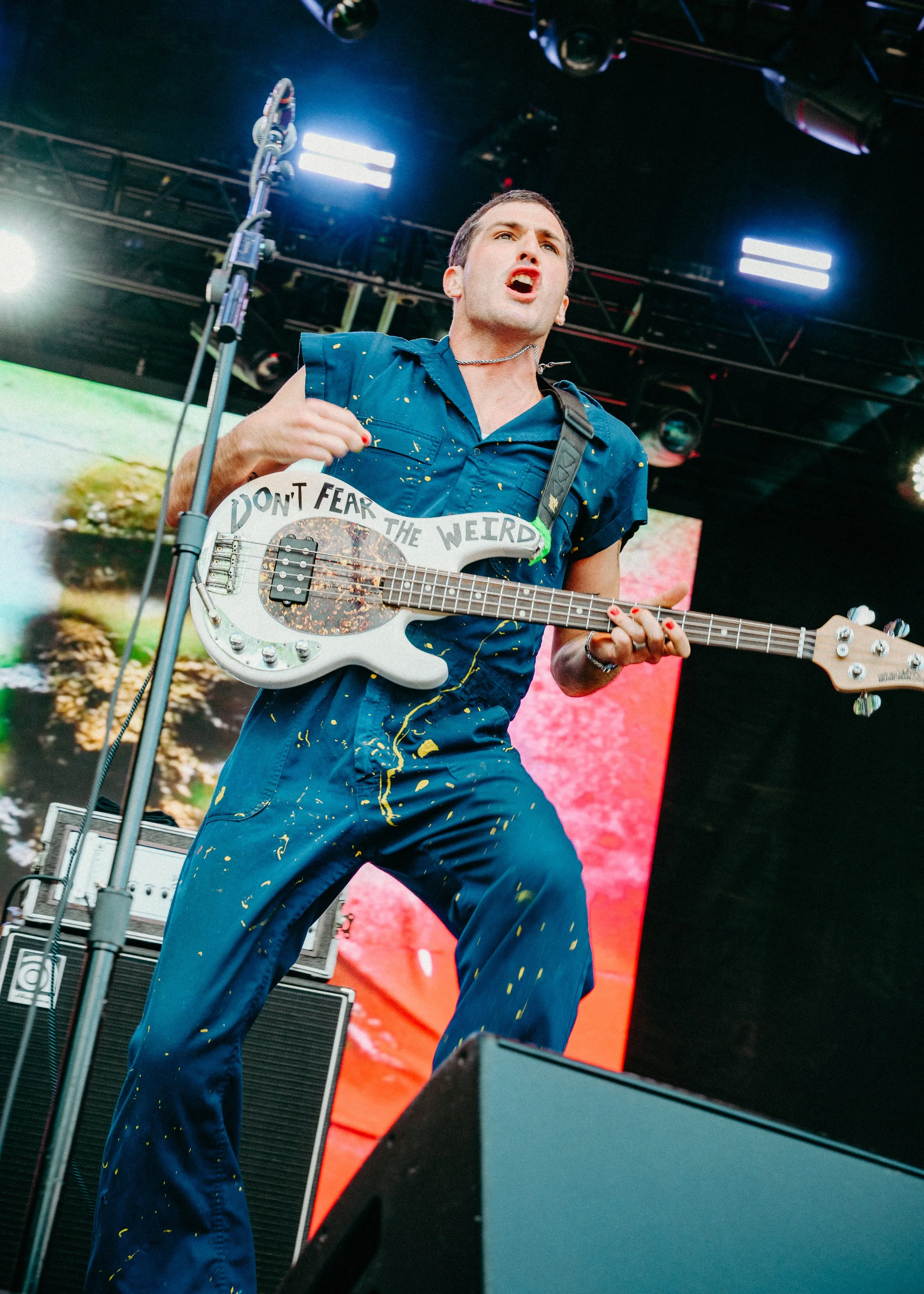 Fidlar 8.jpeg