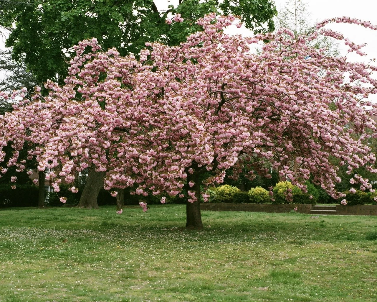 Spring 2026 Gallery