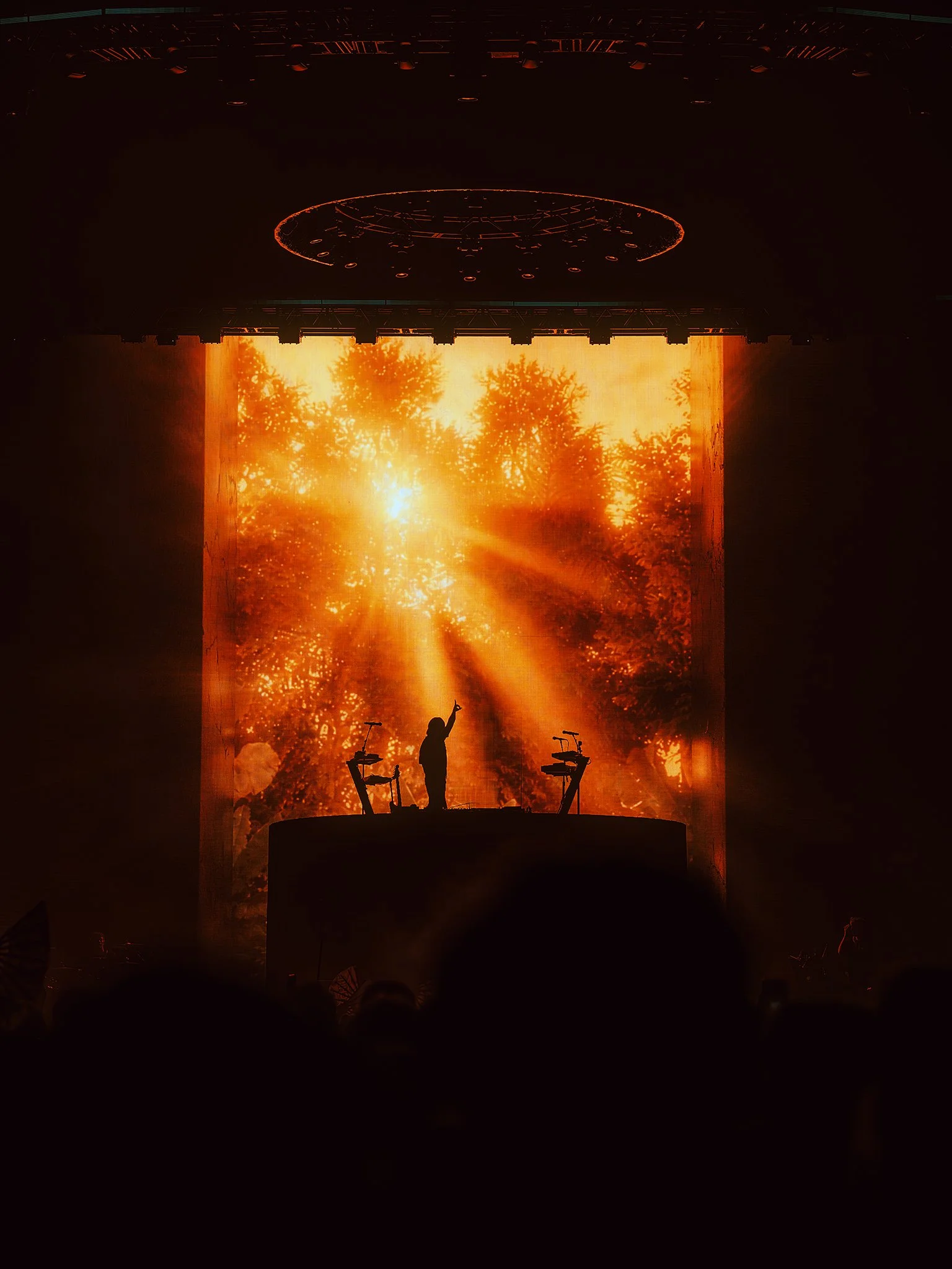 Gryffin-67.jpg