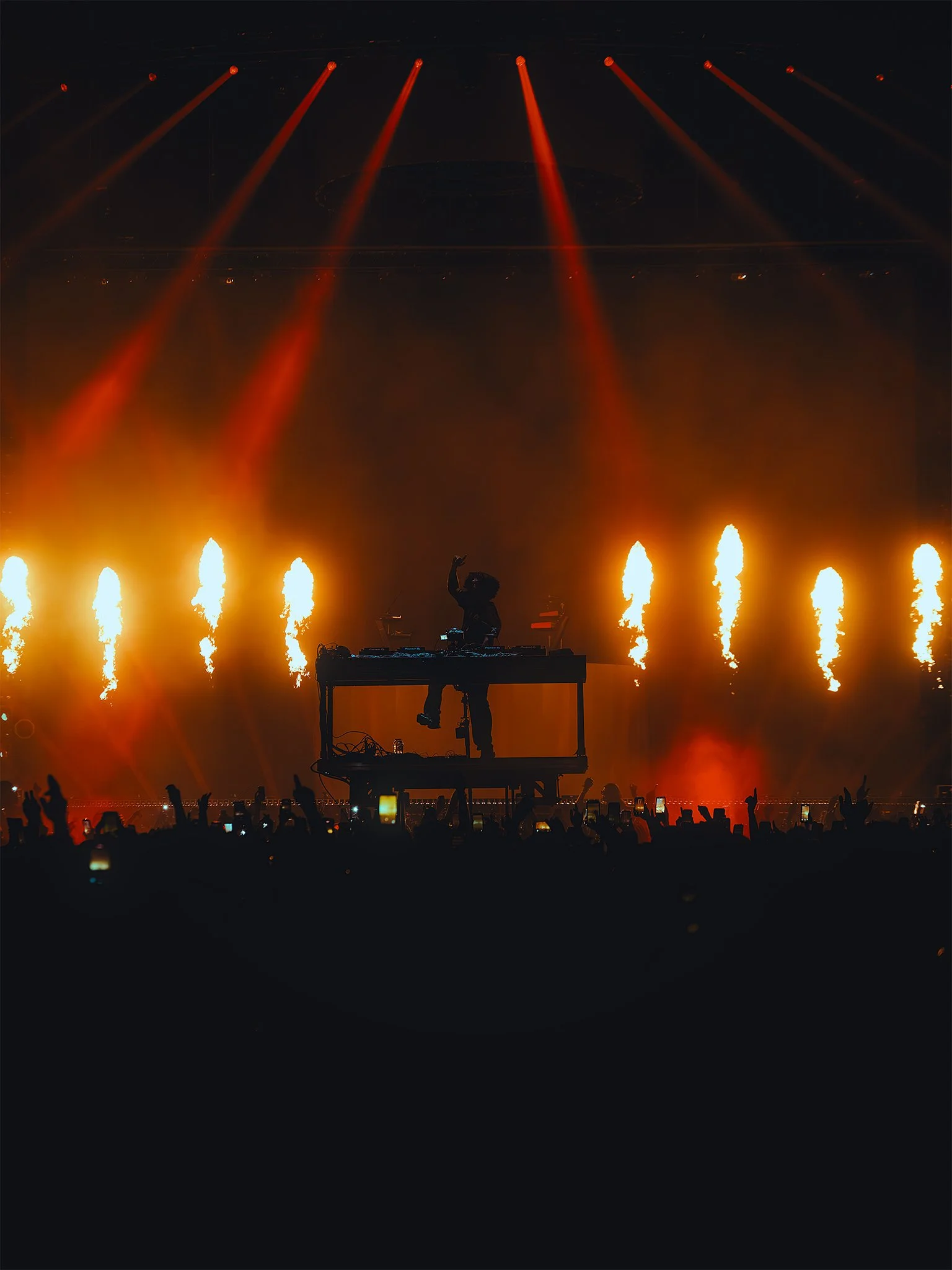Gryffin-21.jpg