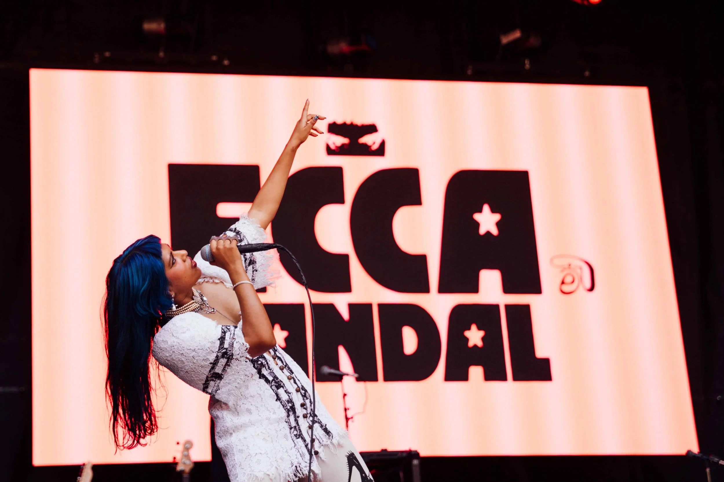 EccaVandal_Web_07_26_10.jpg