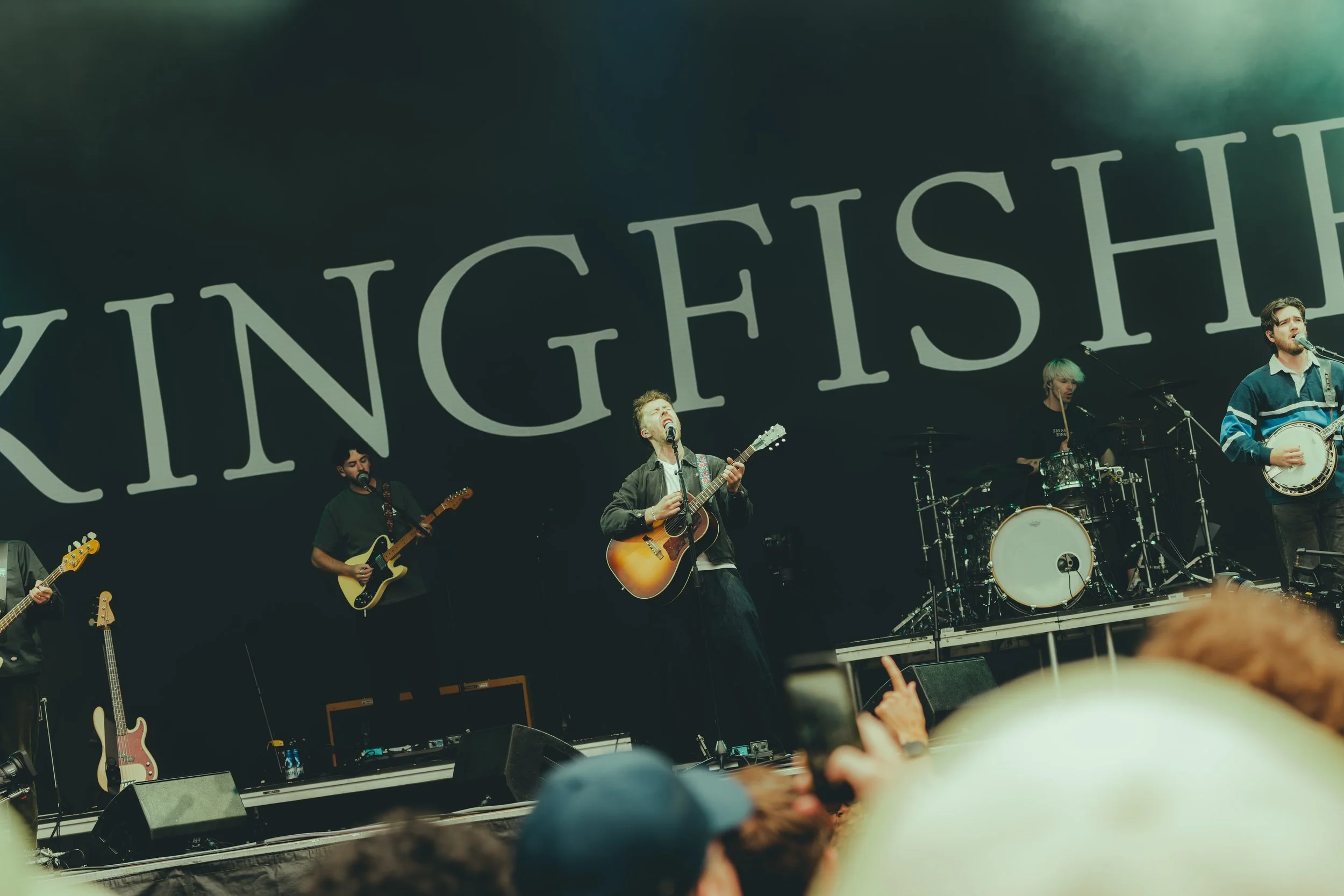KingFisher-5.jpg