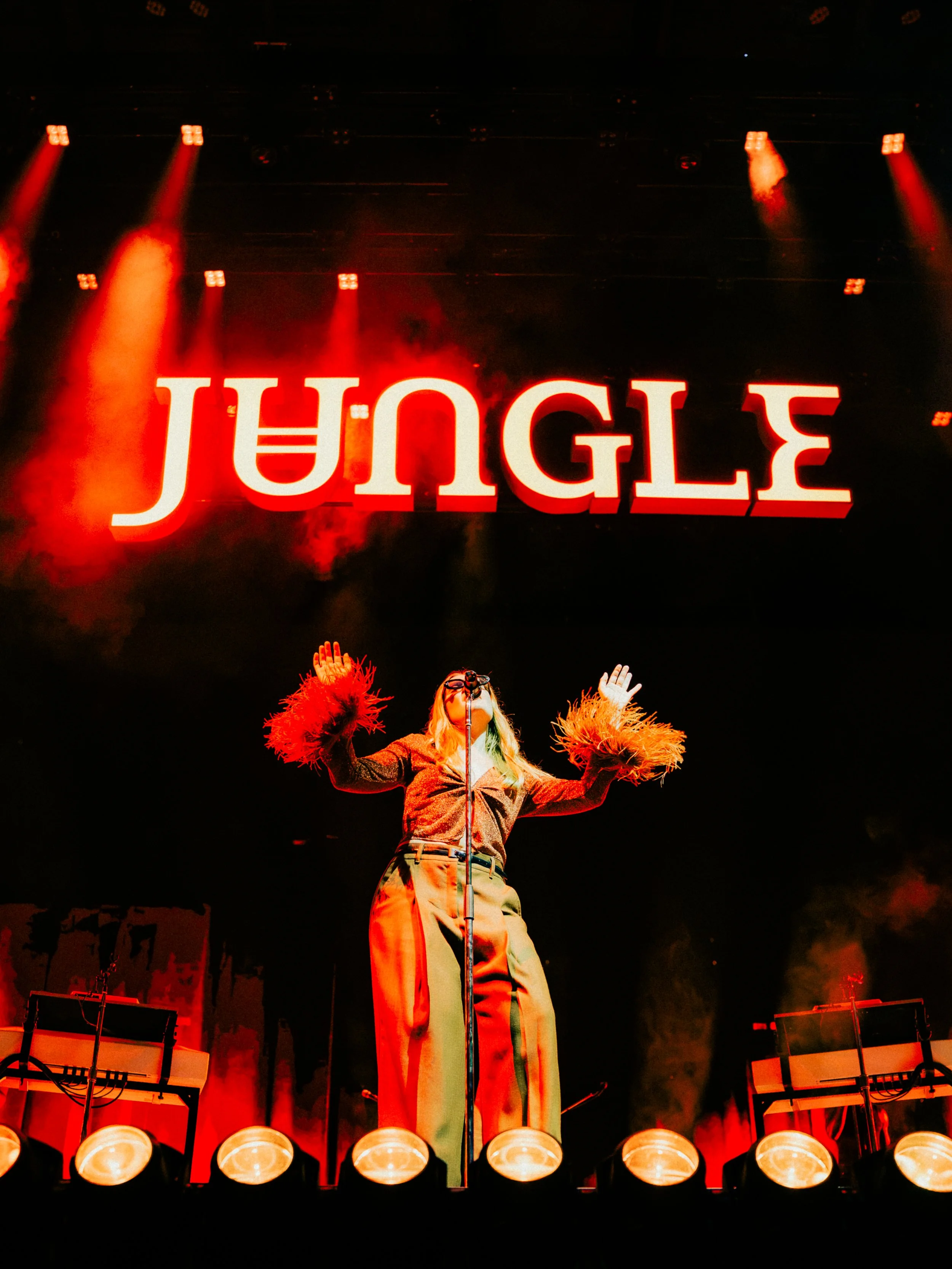 @arivisn_jungle-06.JPG