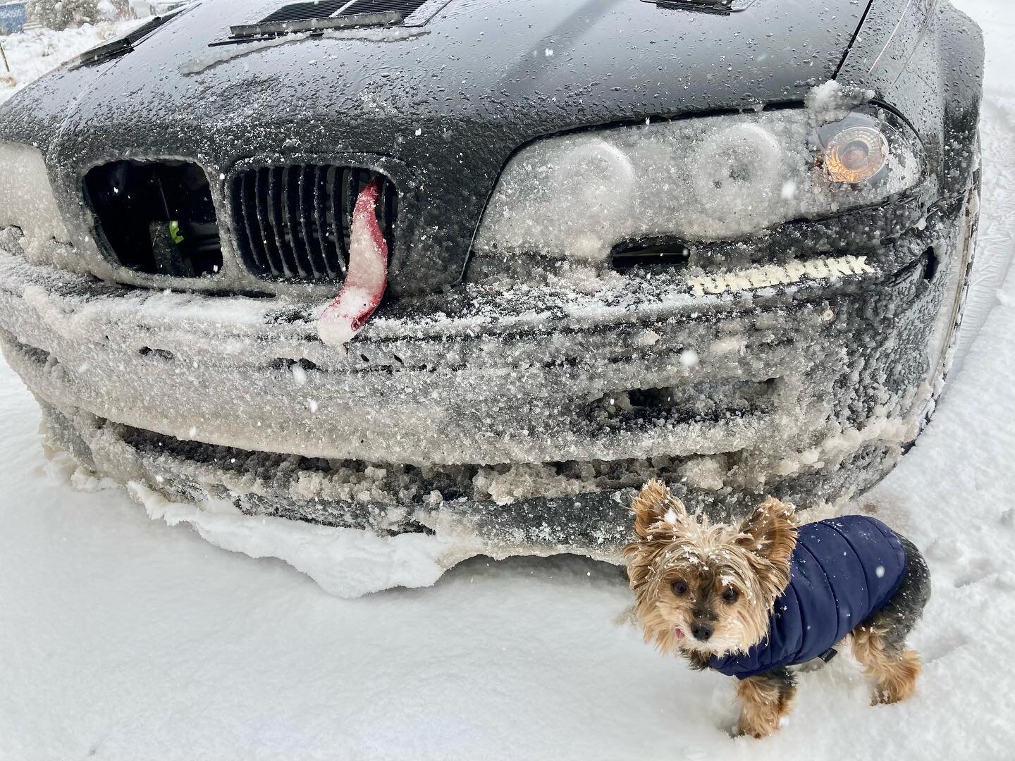 Racecar 24/7 🌨️
#Yorkie #e46 #snow #wagon