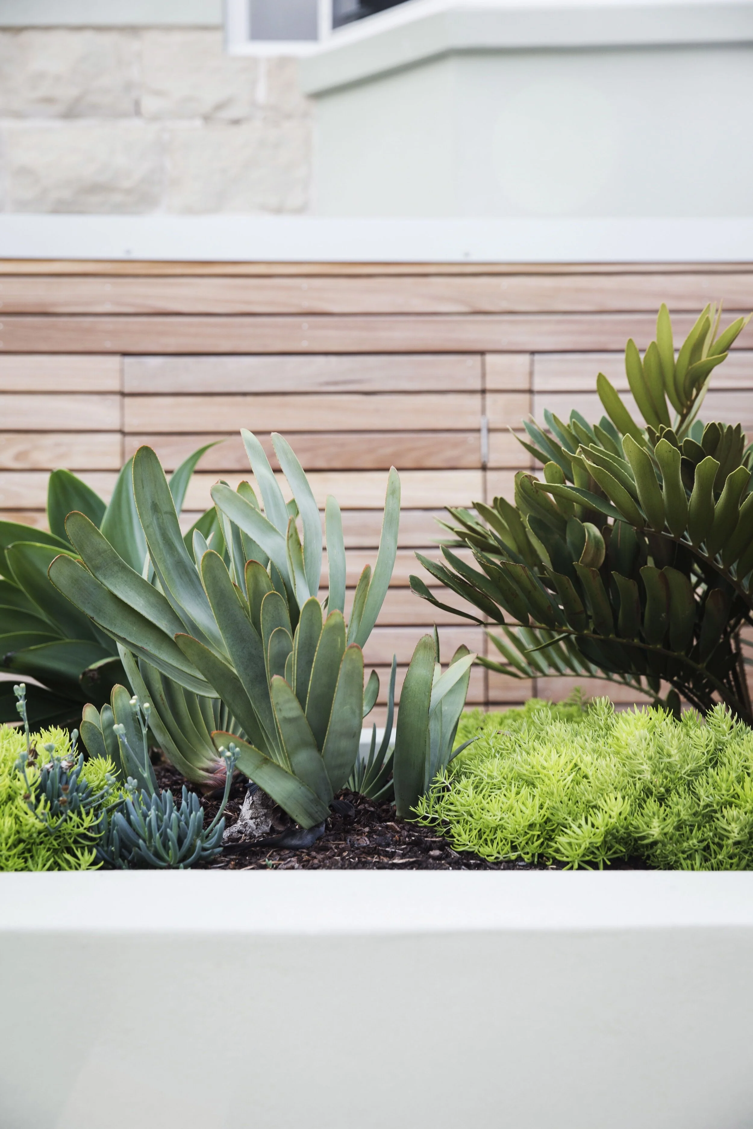 201505123921862380 (1).jpeg