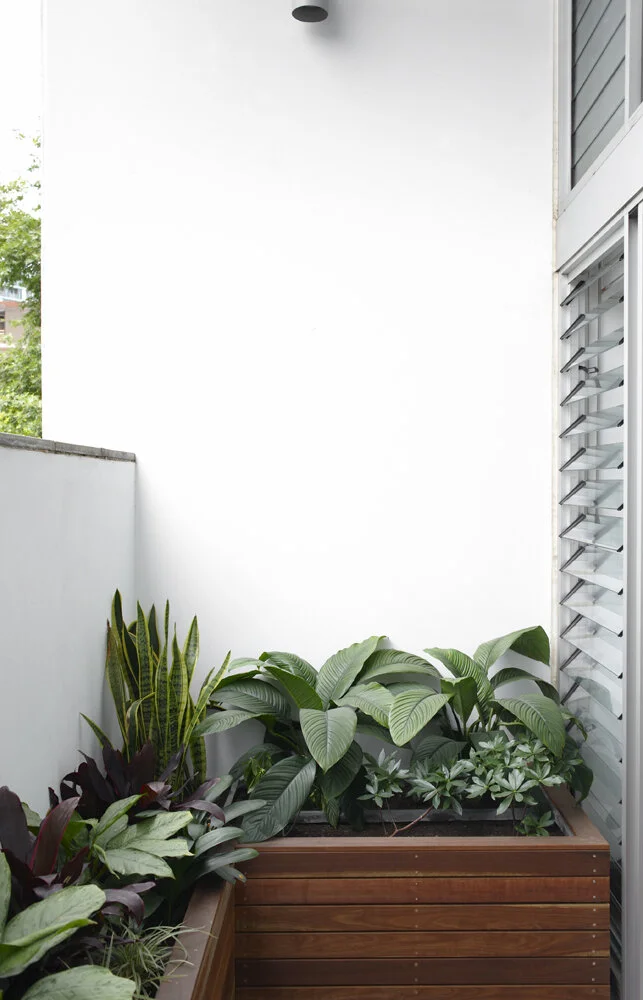 VL_Republic II_SWAD_25.11.2011_0286.jpeg