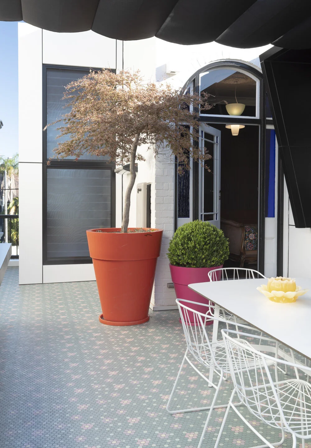 SWAD - VC 2021_0630.JPG