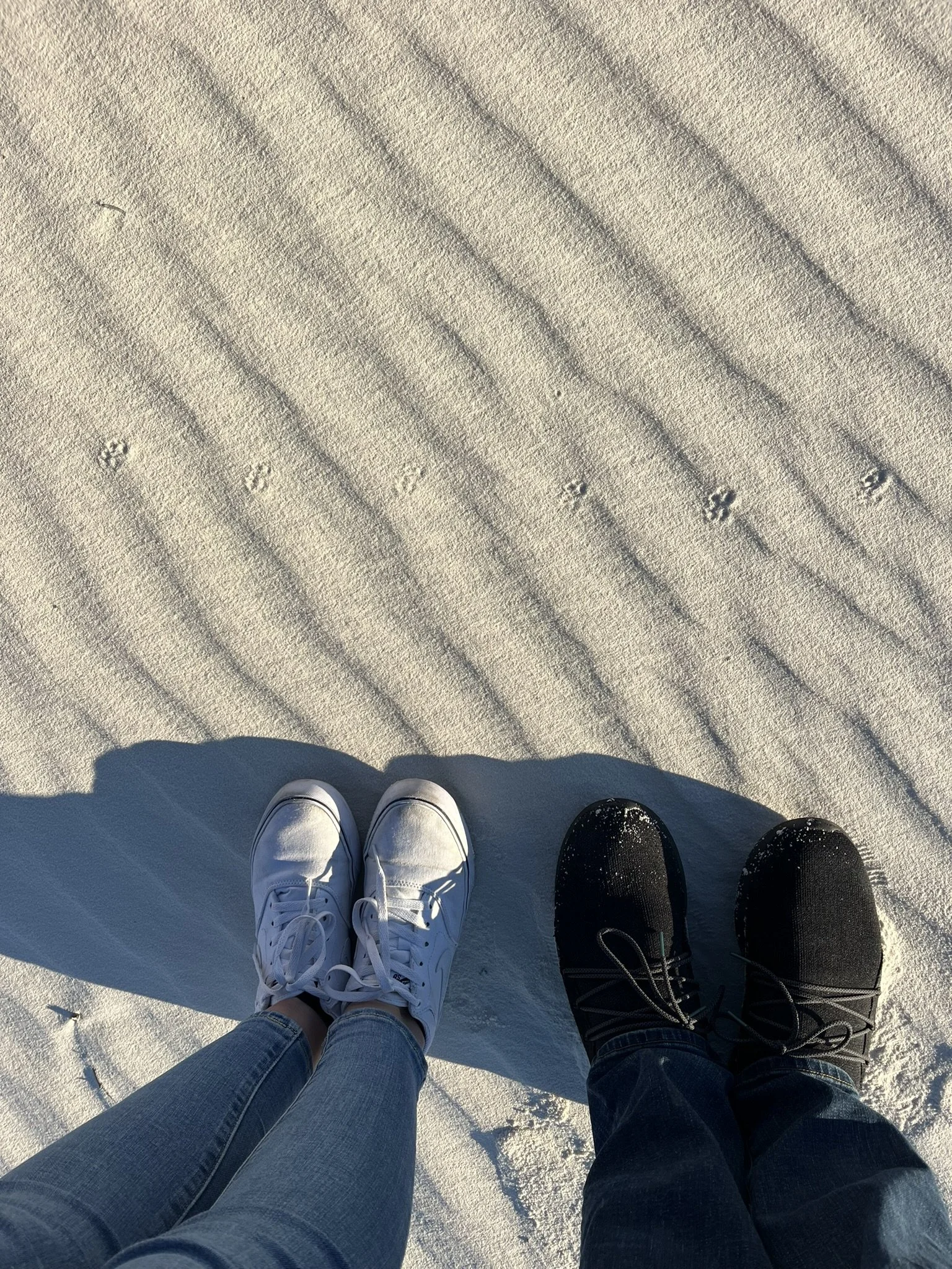 IMG_0683.JPEG